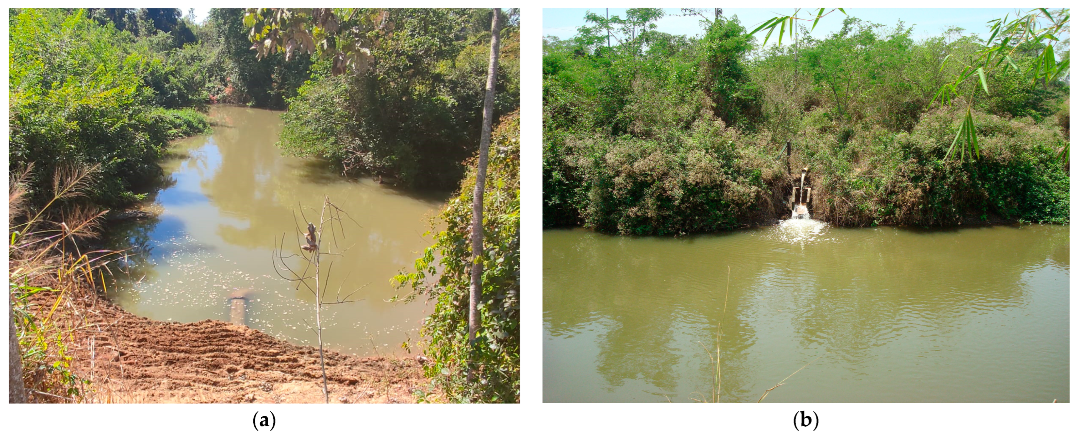 Sustainability 15 03828 g010