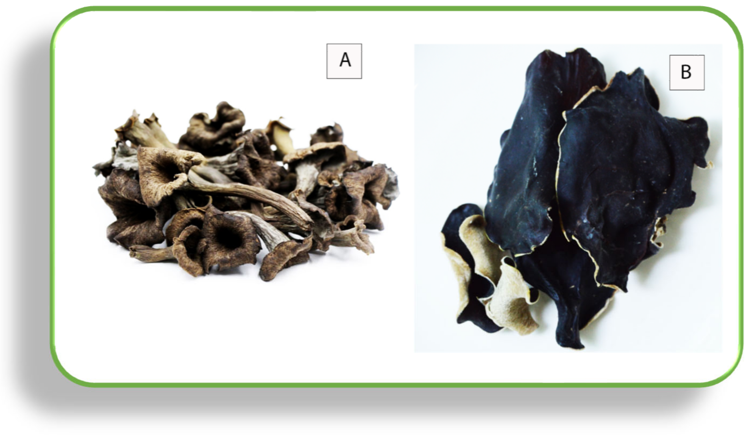 Sustainability 15 03852 g006 Sustainability 15 03852 g006