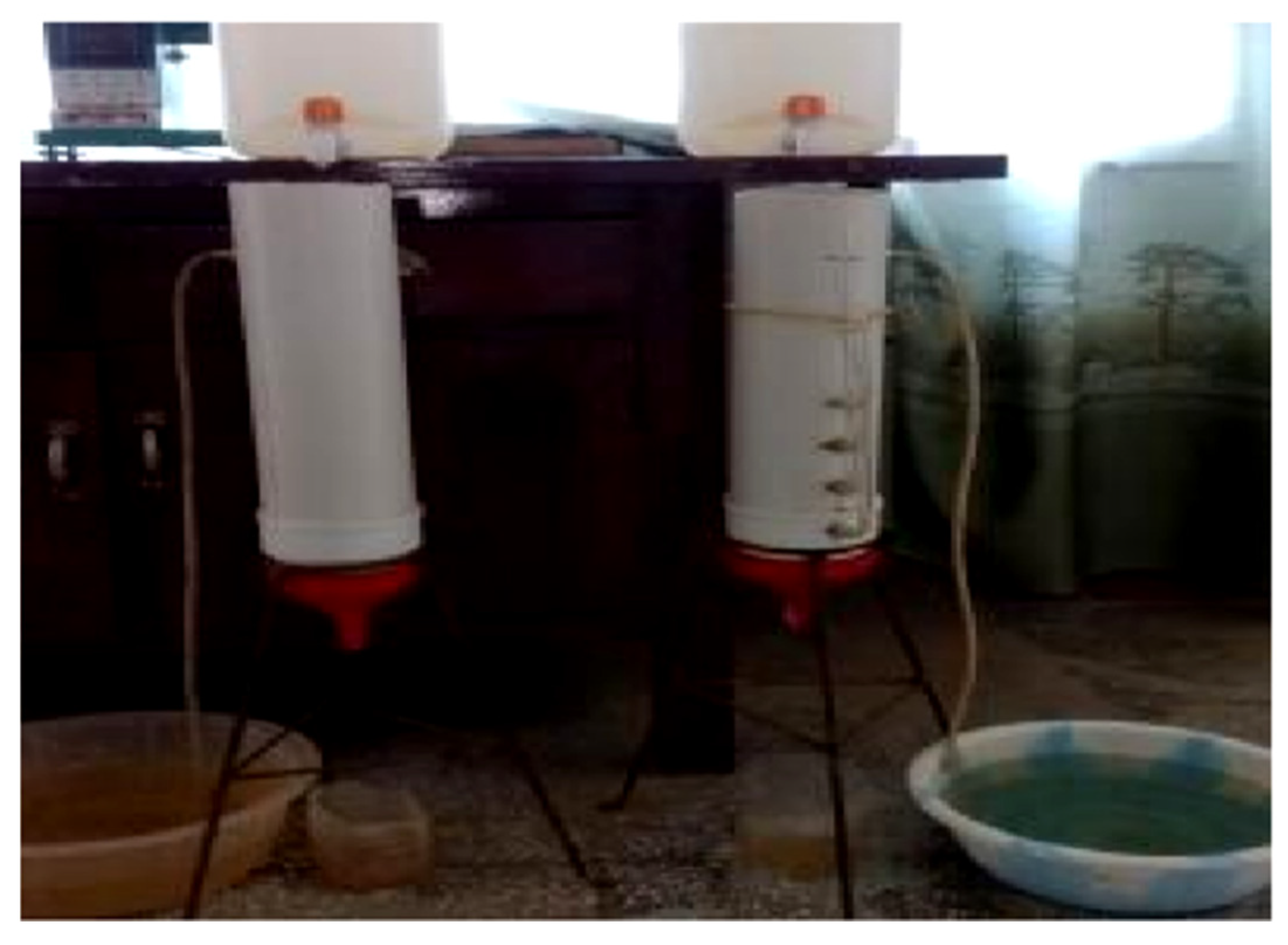 Sustainability 15 03867 g005