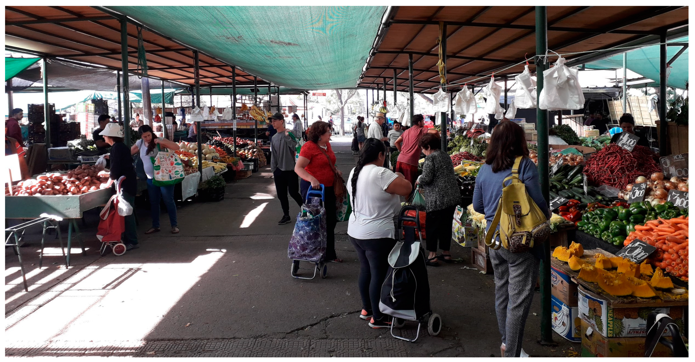 Sustainability 15 03893 g001 Sustainability 15 03893 g001