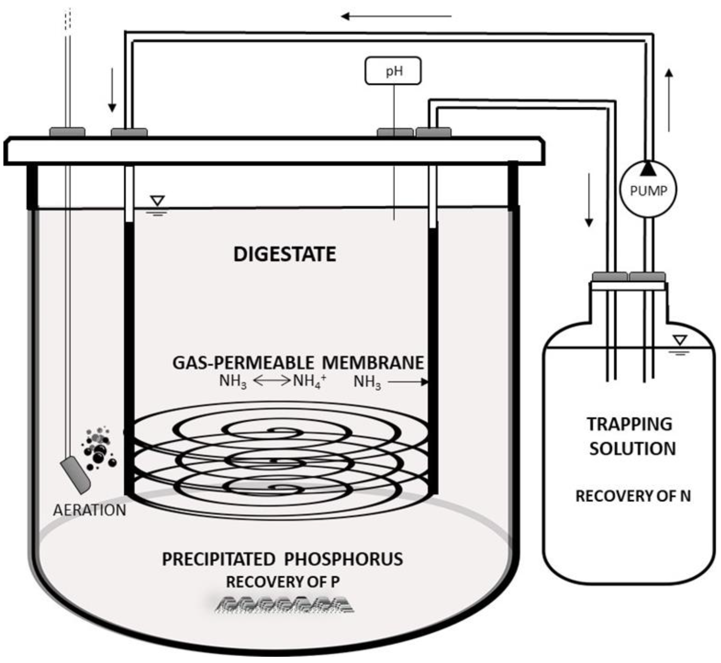 Sustainability 15 03909 g001 Sustainability 15 03909 g001