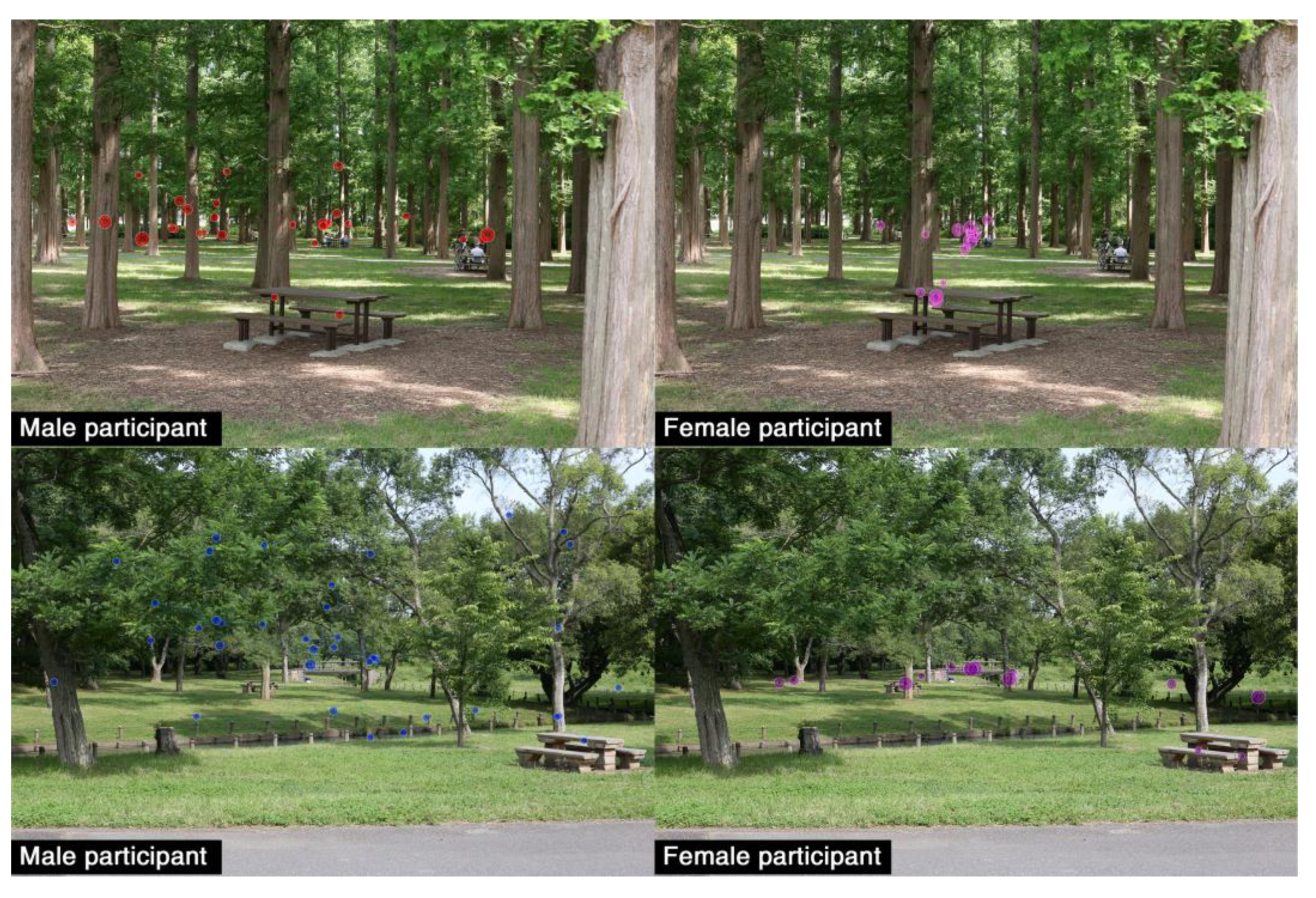 Sustainability 15 03957 g006 Sustainability 15 03957 g006