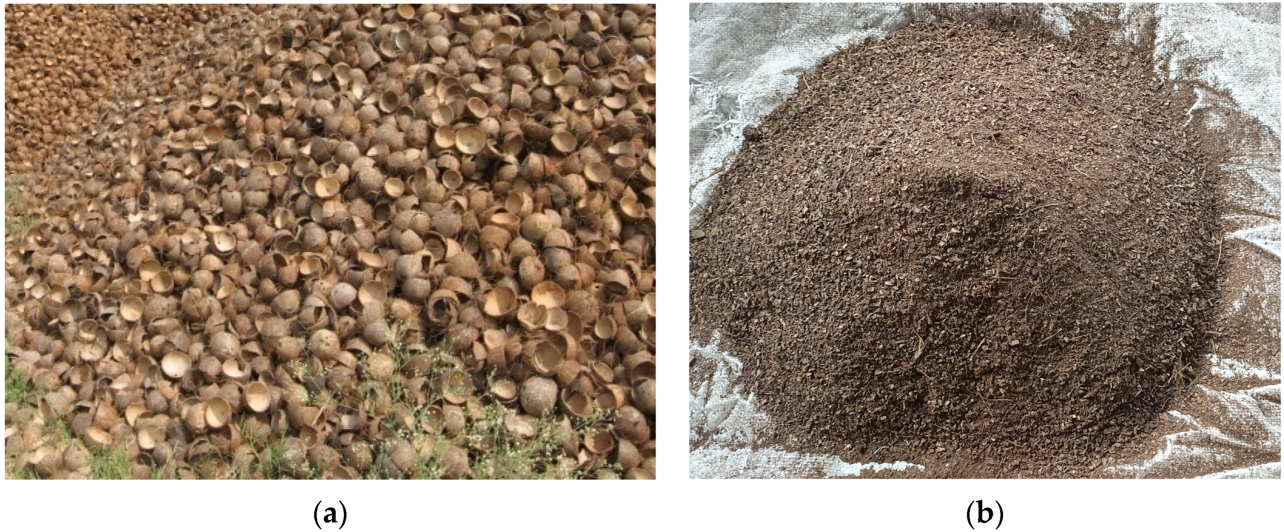 Sustainability 15 03995 g001 Sustainability 15 03995 g001