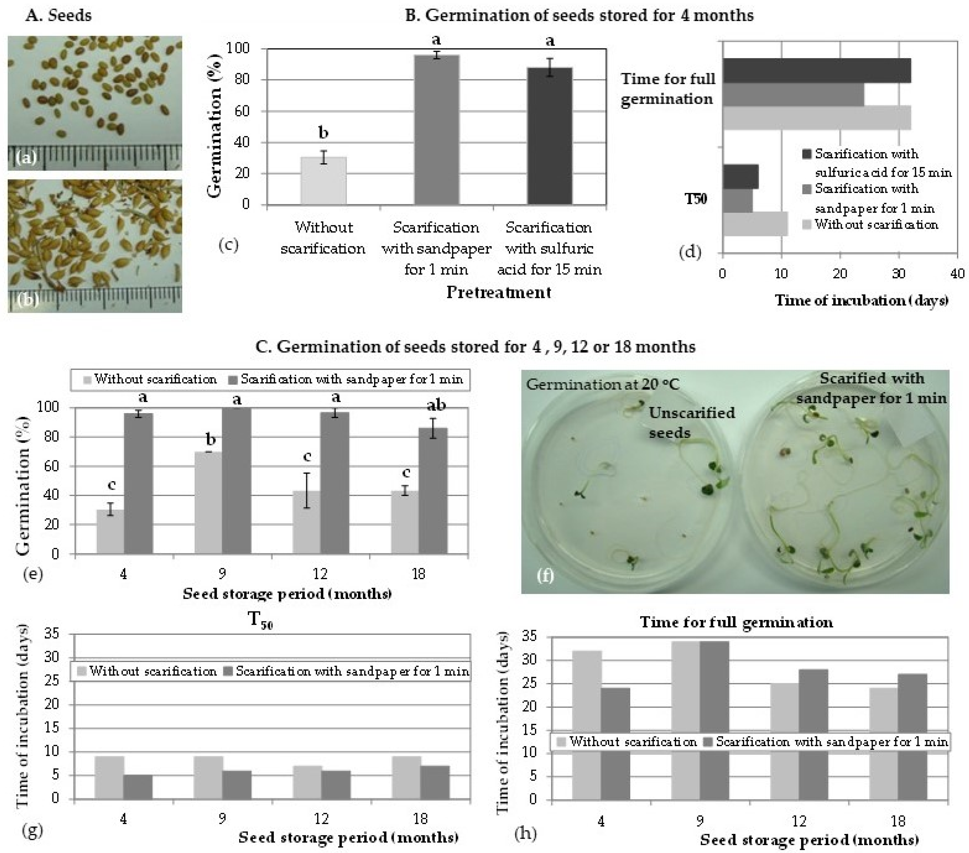 Sustainability 15 04025 g001