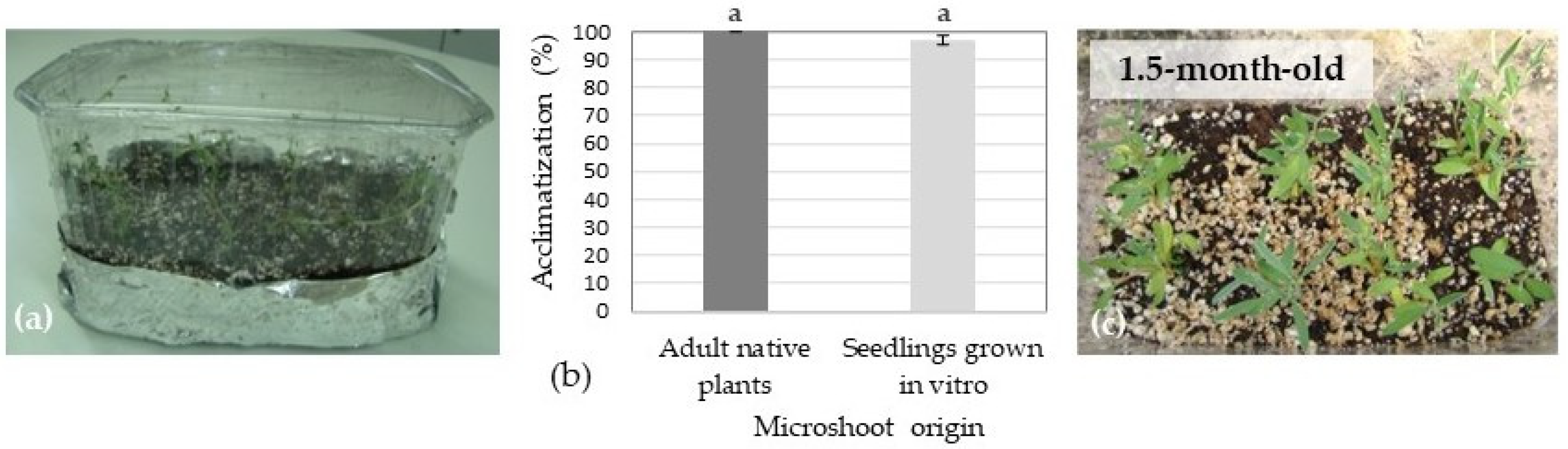 Sustainability 15 04025 g006