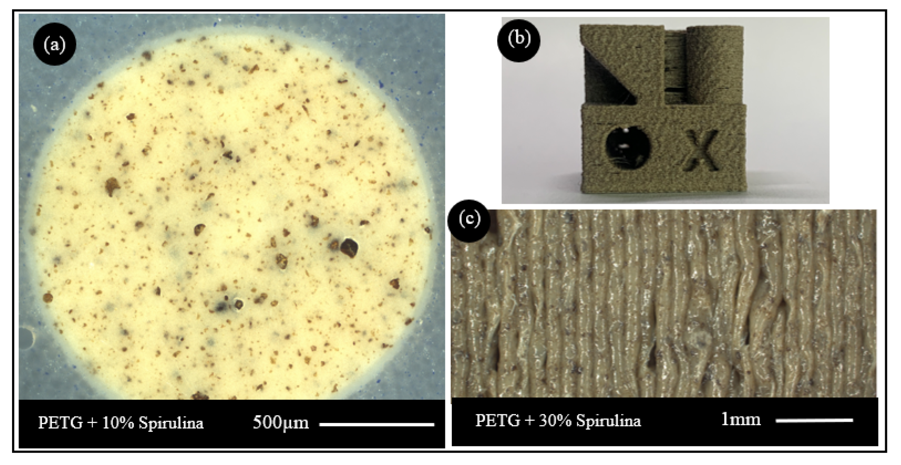 Sustainability 15 04039 g005 Sustainability 15 04039 g005