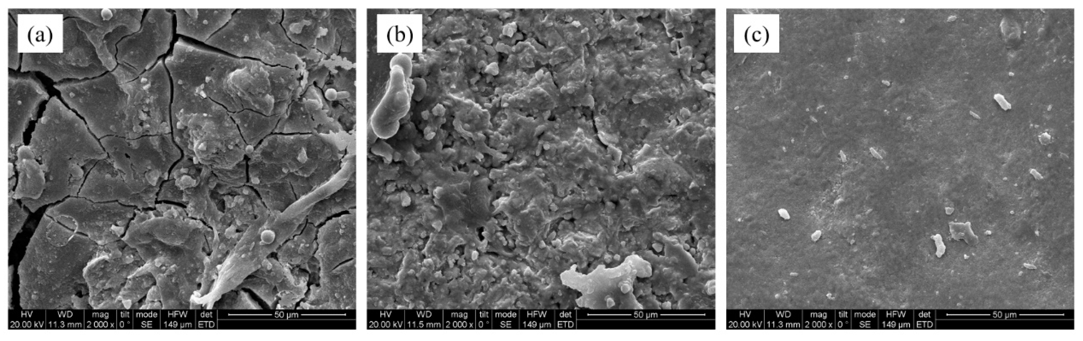 Sustainability 15 04160 g006