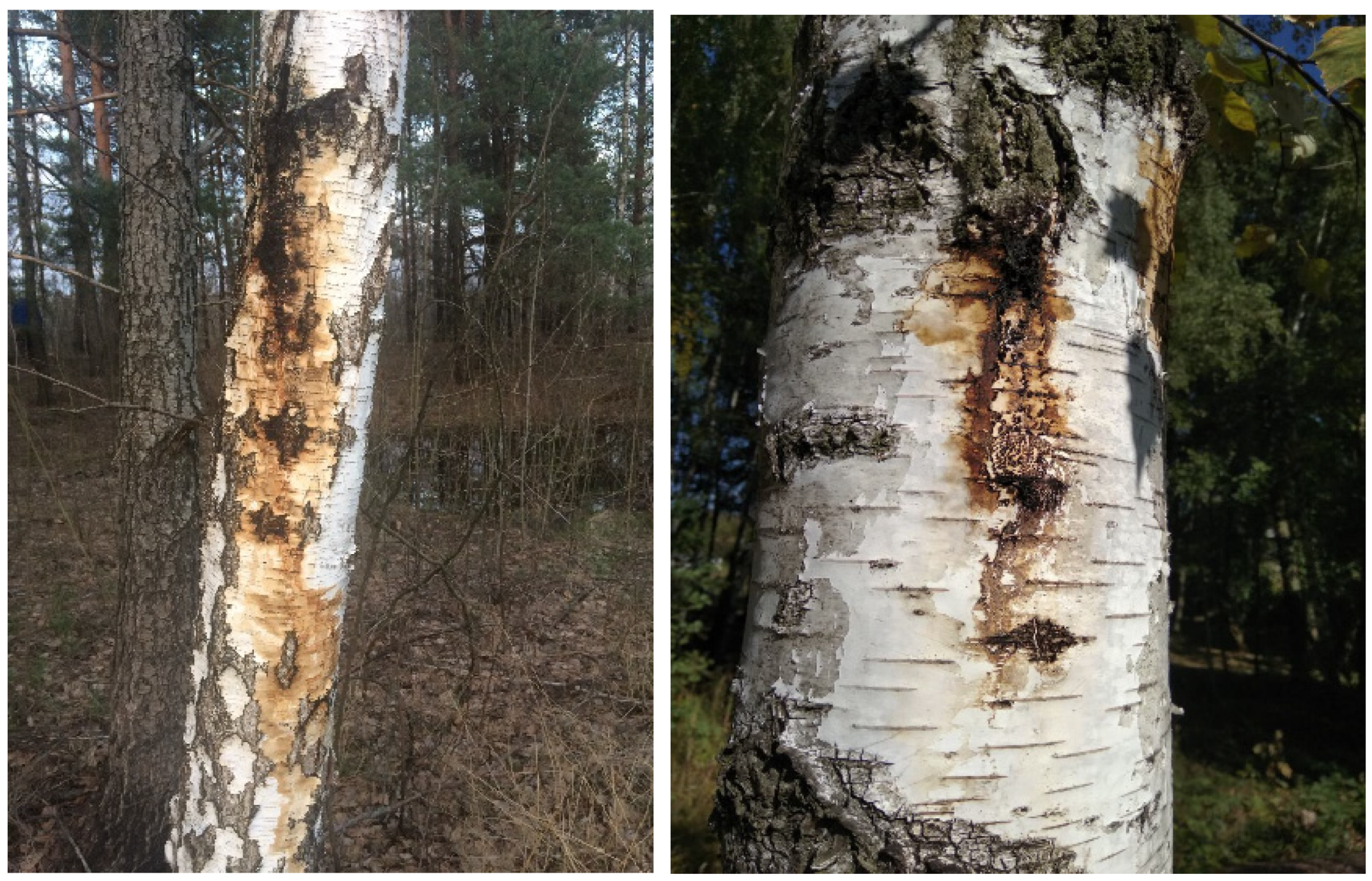 Sustainability 15 04189 g001