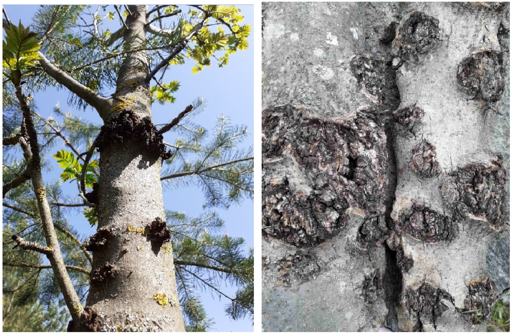 Sustainability 15 04189 g002