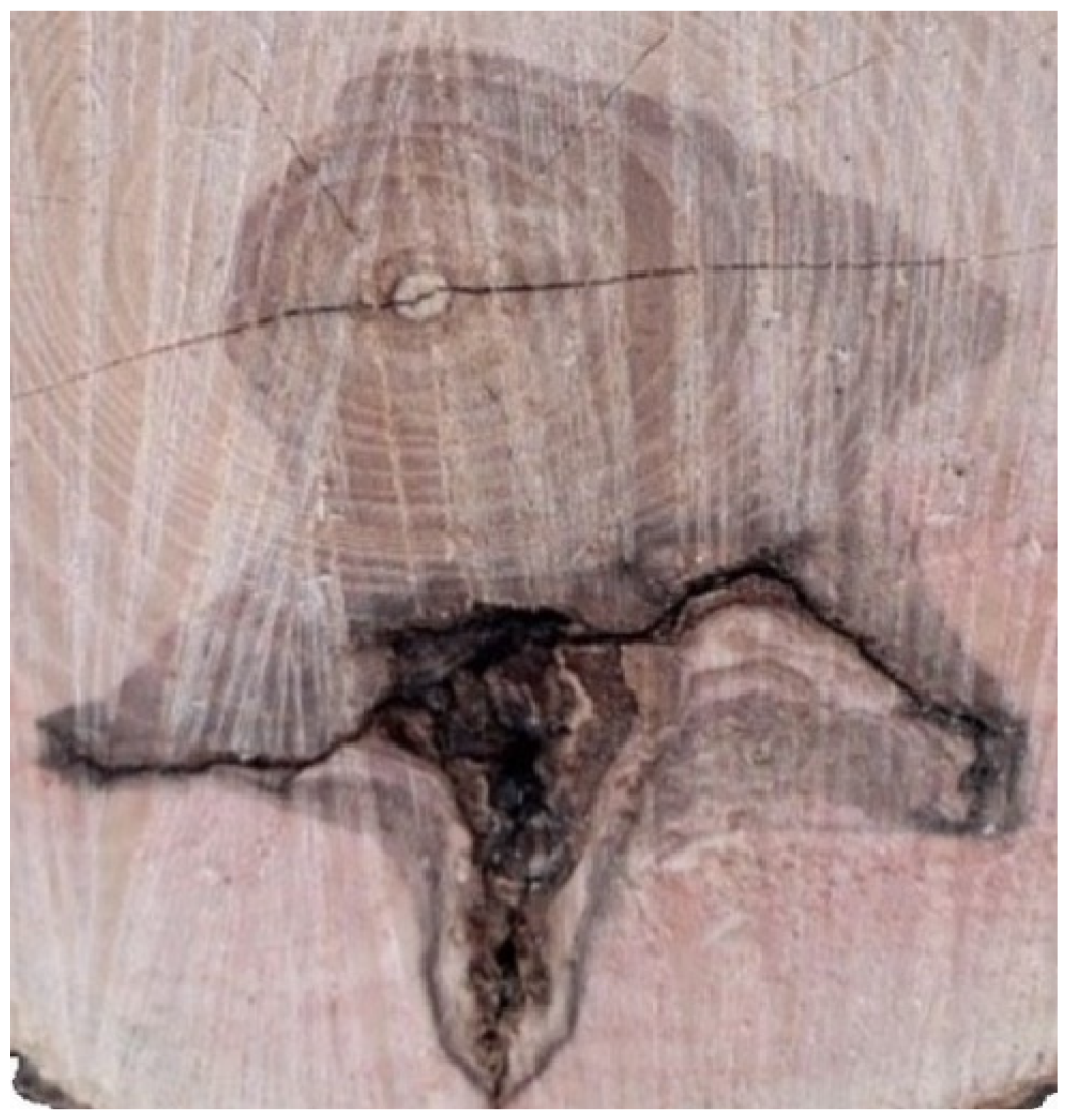 Sustainability 15 04189 g003