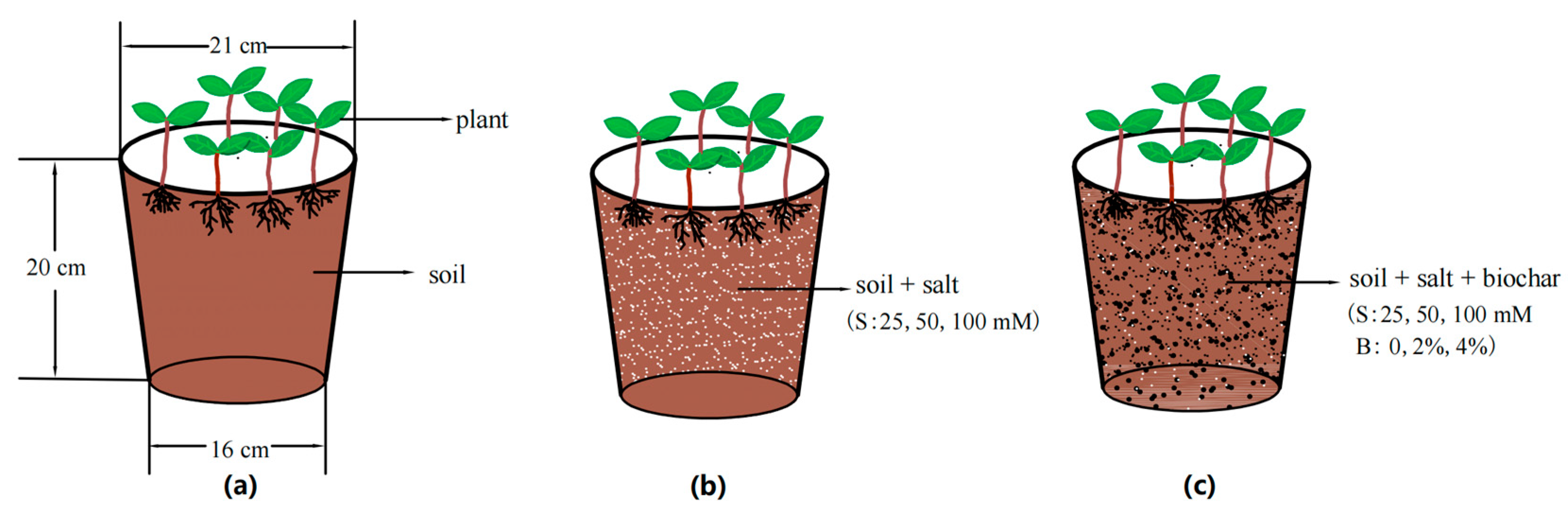 Sustainability 15 04206 g001 Sustainability 15 04206 g001
