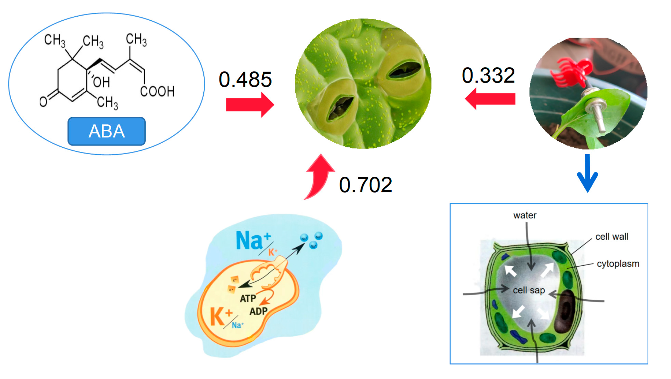 Sustainability 15 04206 g007 Sustainability 15 04206 g007