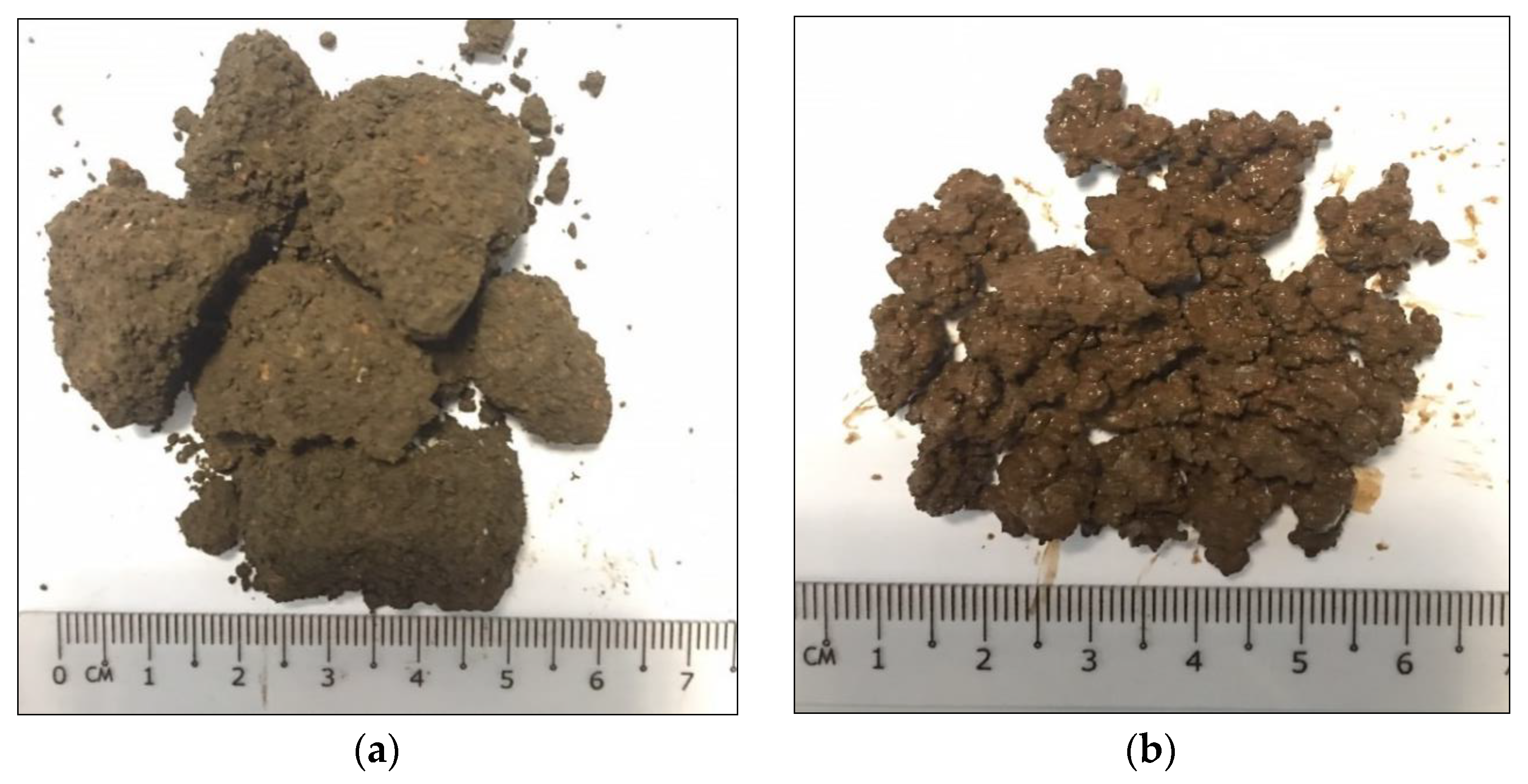 Sustainability 15 04229 g005 Sustainability 15 04229 g005