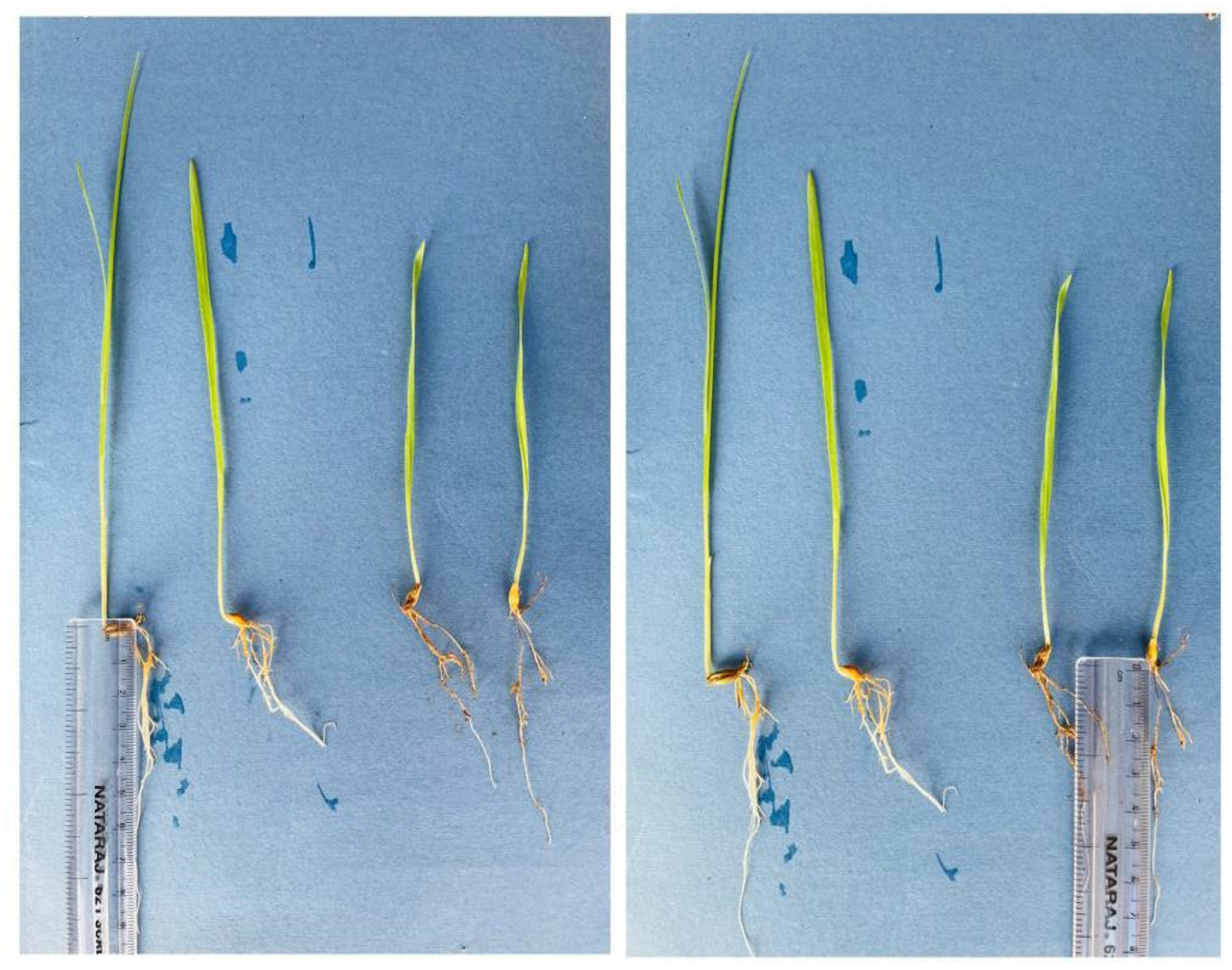 Sustainability 15 04396 g012 Sustainability 15 04396 g012