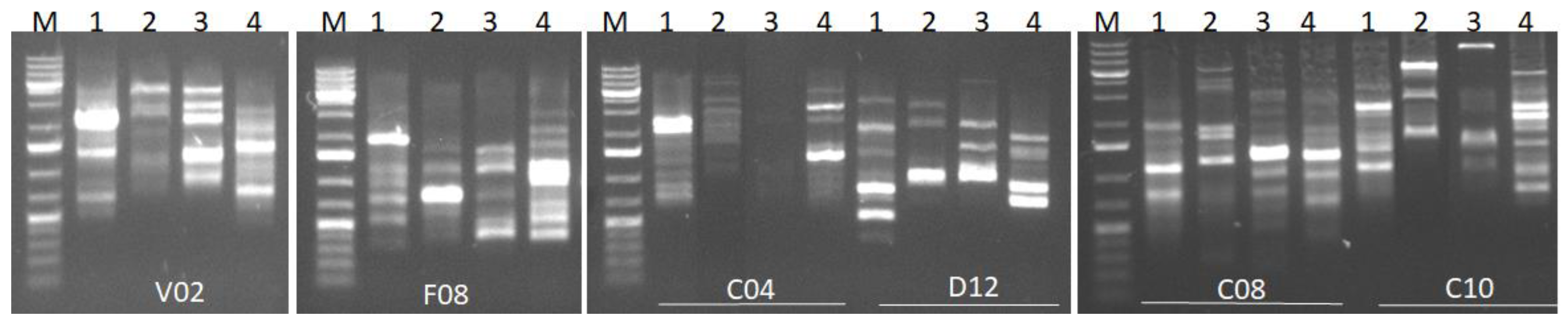 Sustainability 15 04404 g005