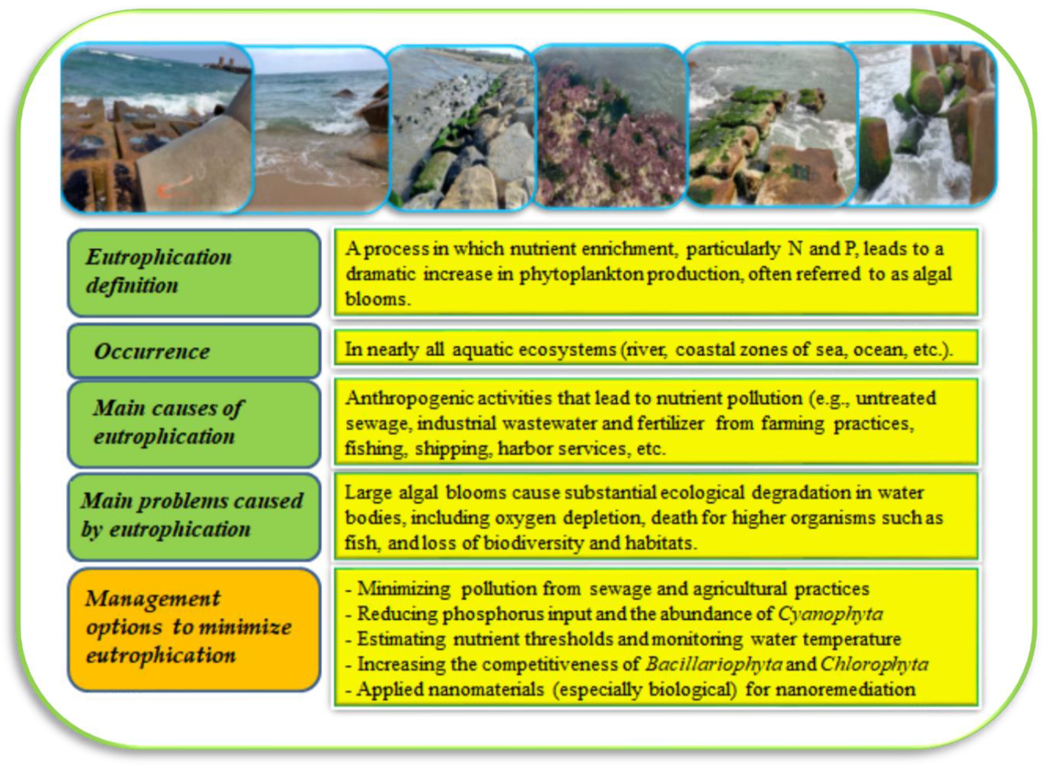 Sustainability 15 04404 g008