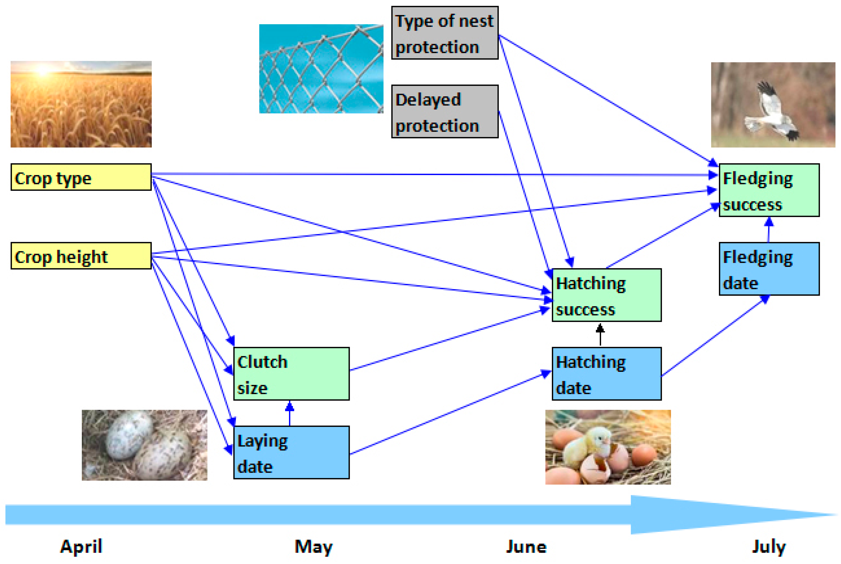 Sustainability 15 04426 g002 Sustainability 15 04426 g002