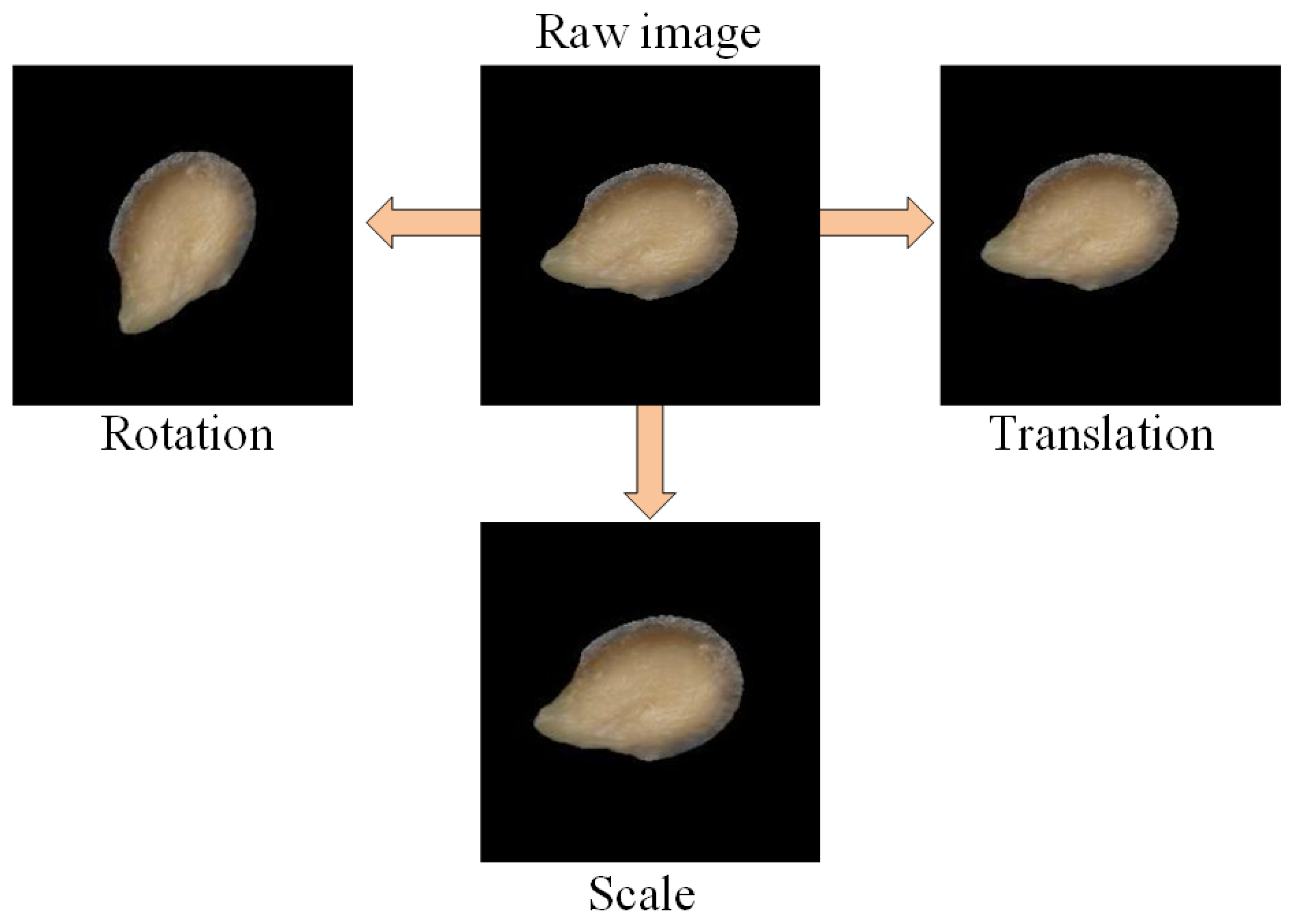 Sustainability 15 04443 g003 Sustainability 15 04443 g003