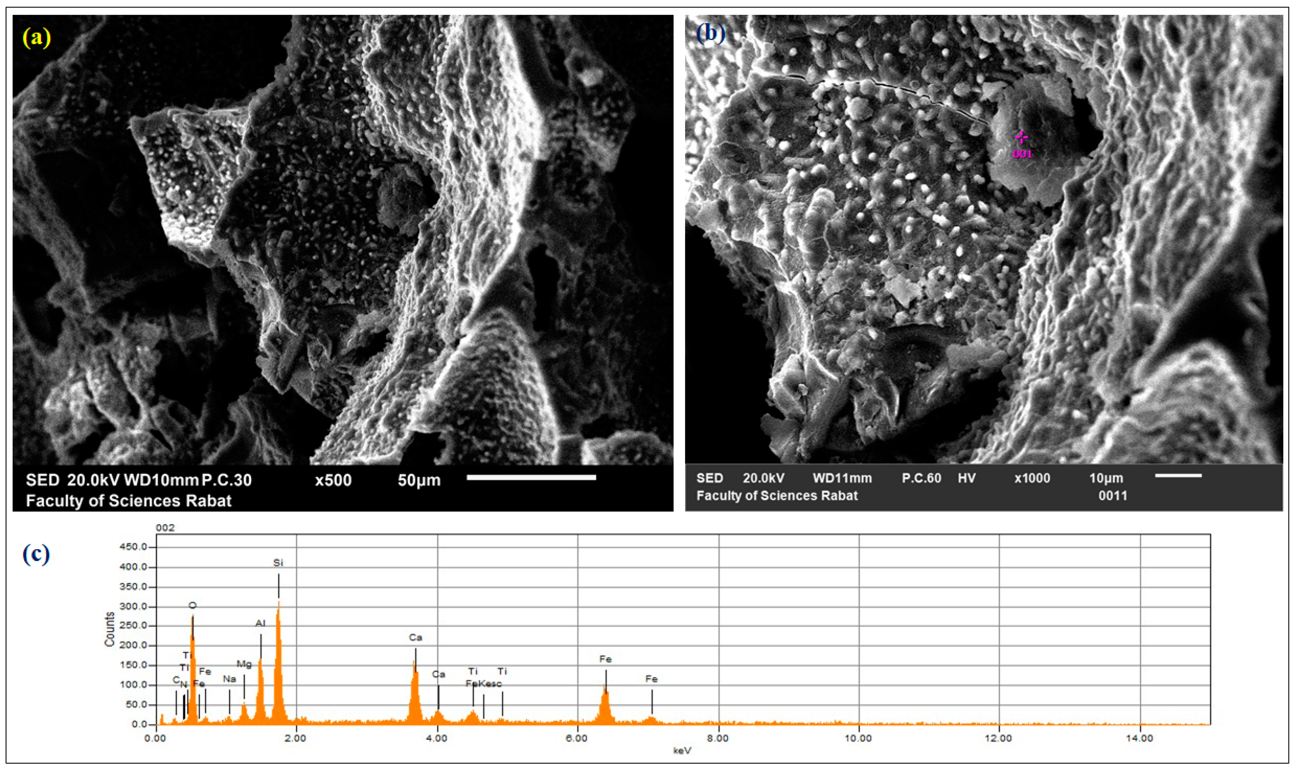 Sustainability 15 04453 g003 Sustainability 15 04453 g003
