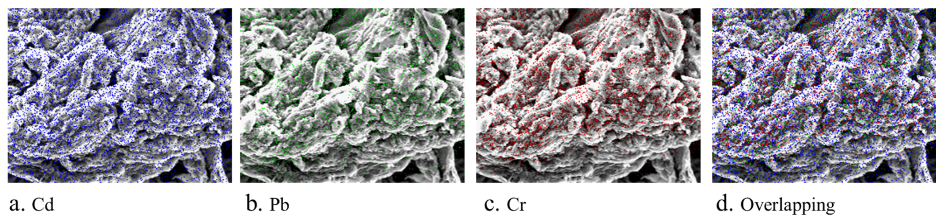 Sustainability 15 04470 g004 Sustainability 15 04470 g004