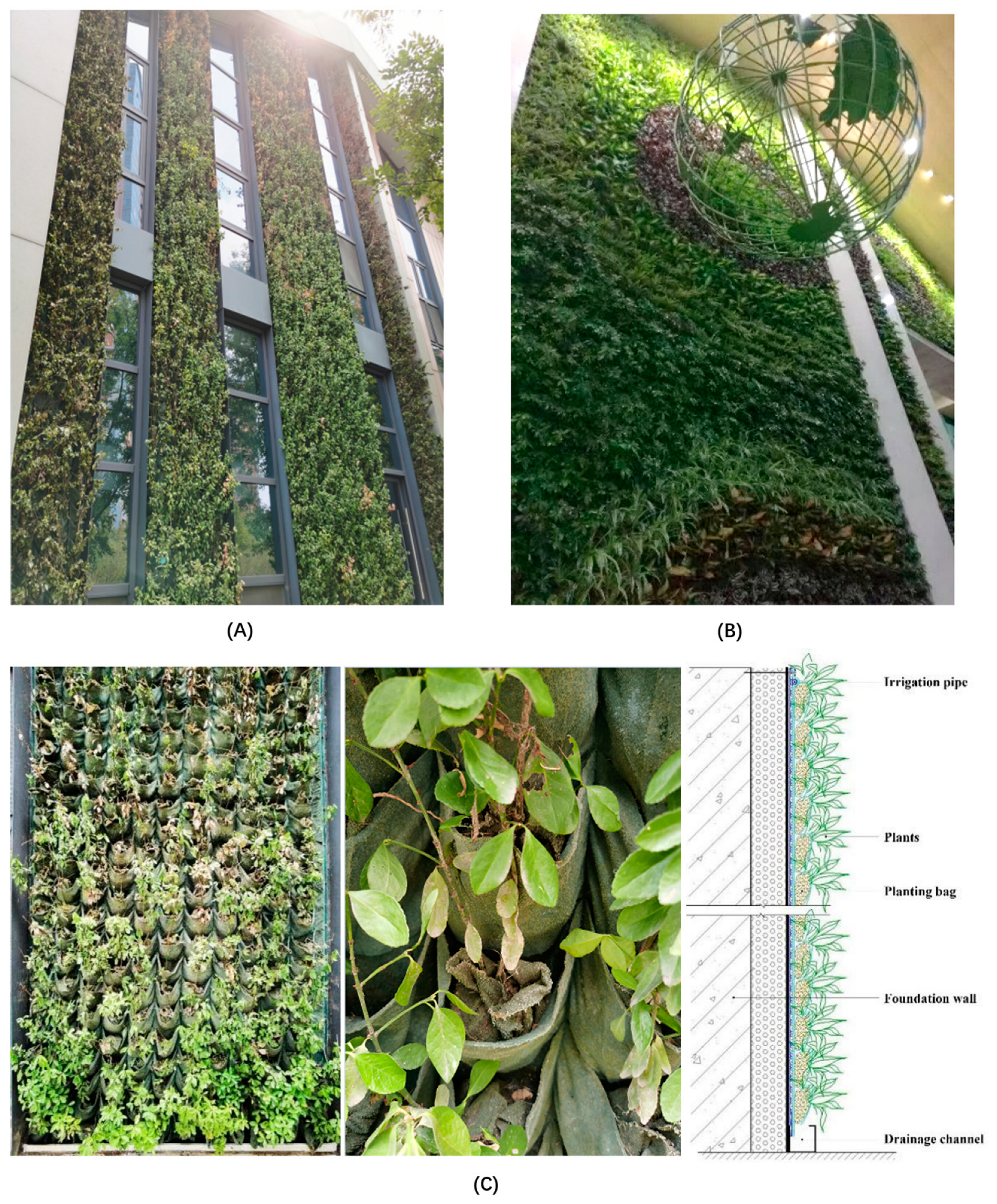 Sustainability 15 04494 g003 Sustainability 15 04494 g003