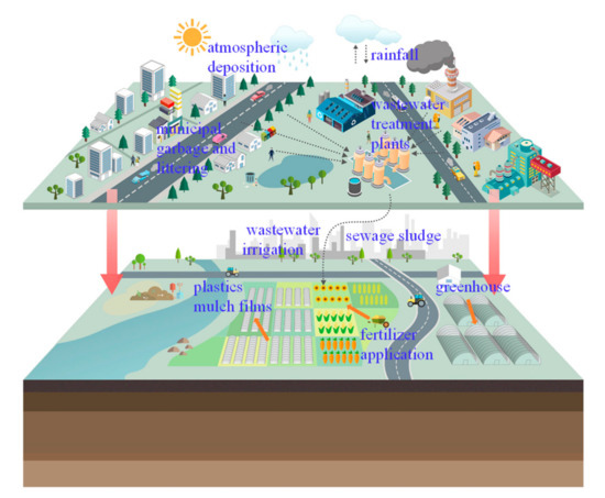 Frontiers | Molecular Mapping of Quantitative Trait Loci for
