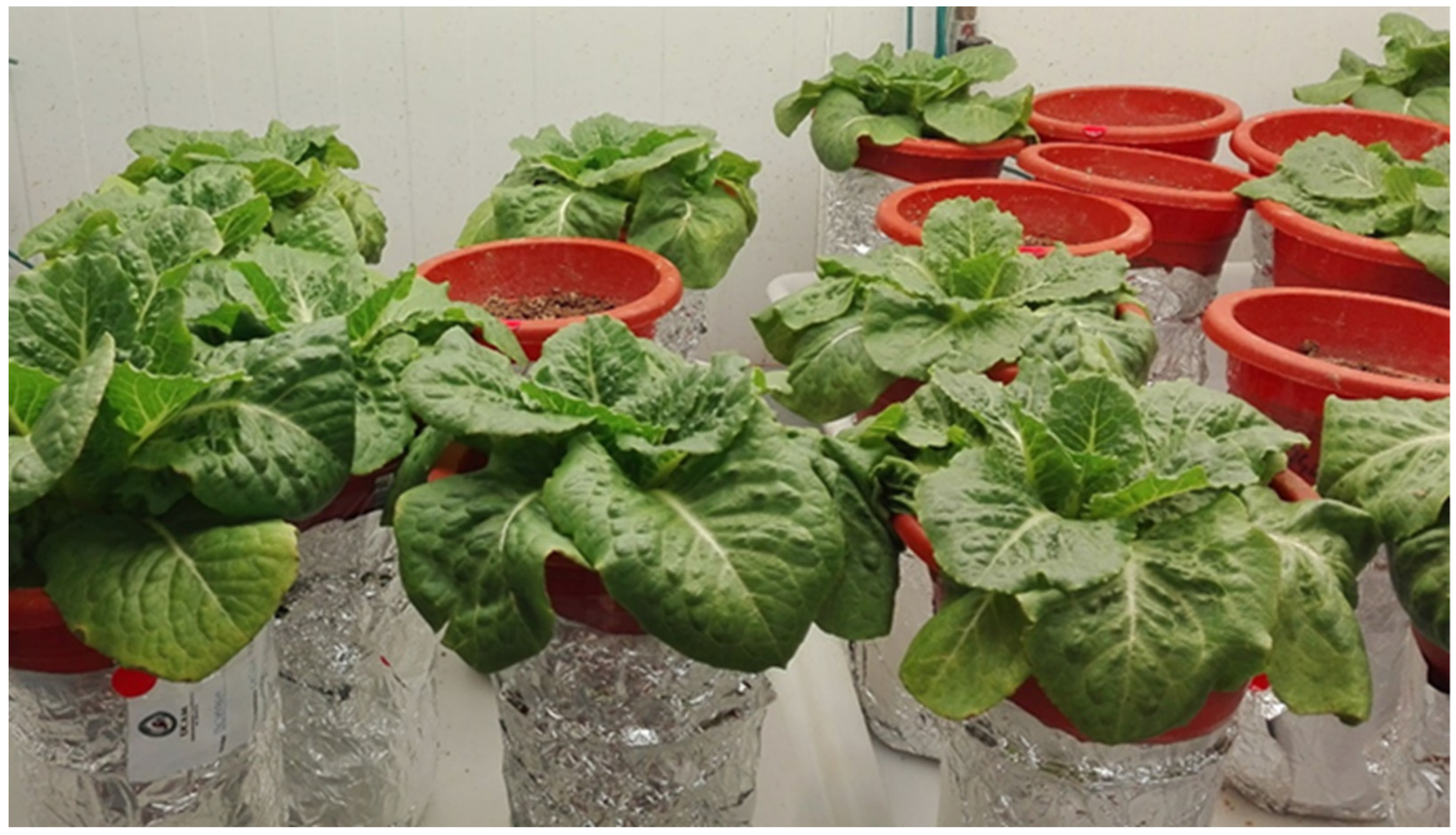 Sustainability 15 04536 g001 Sustainability 15 04536 g001