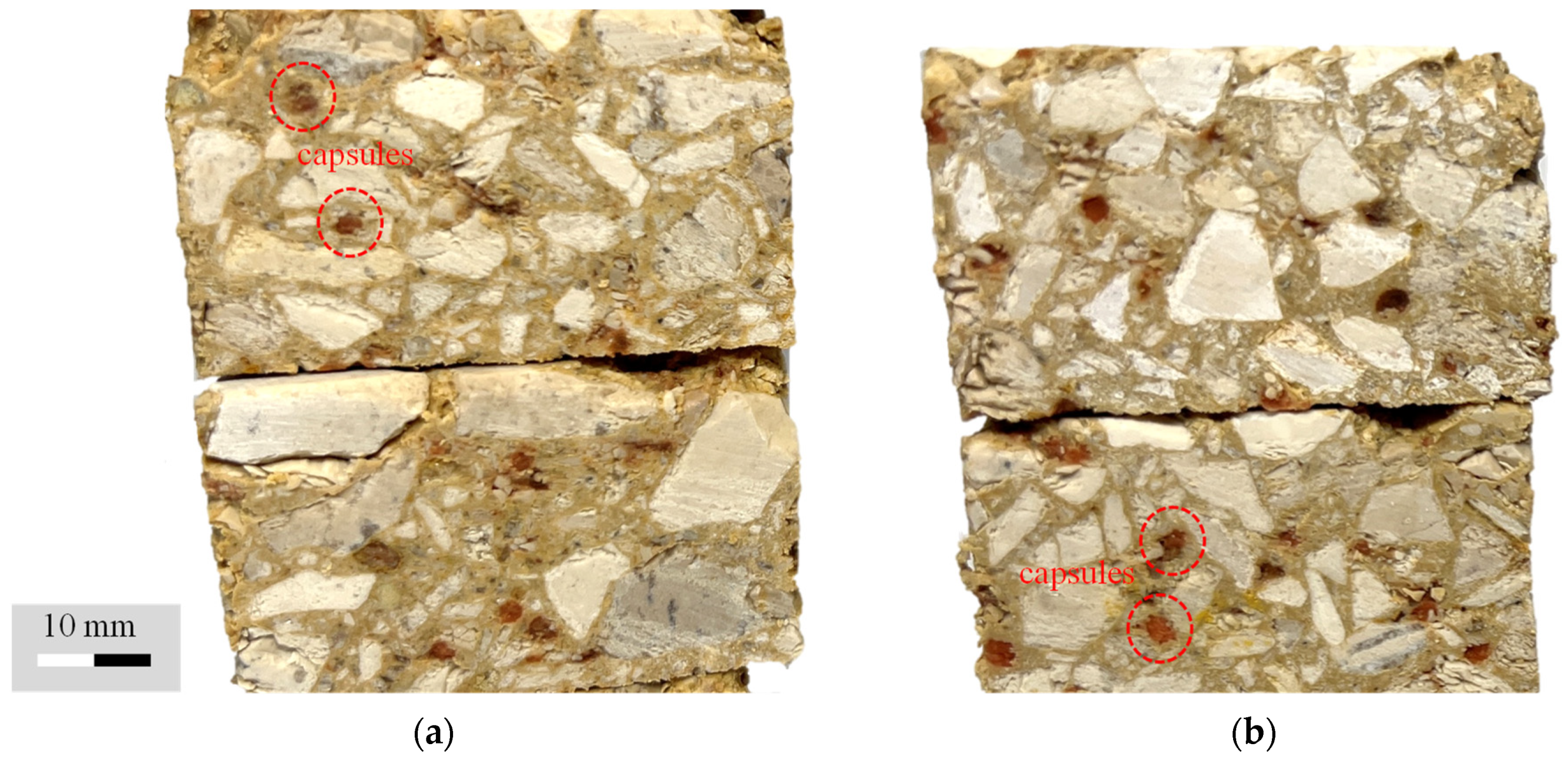 Sustainability 15 04556 g009