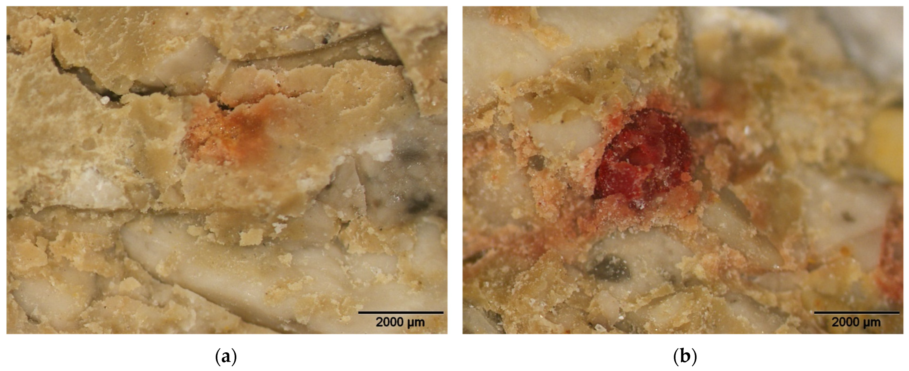 Sustainability 15 04556 g011