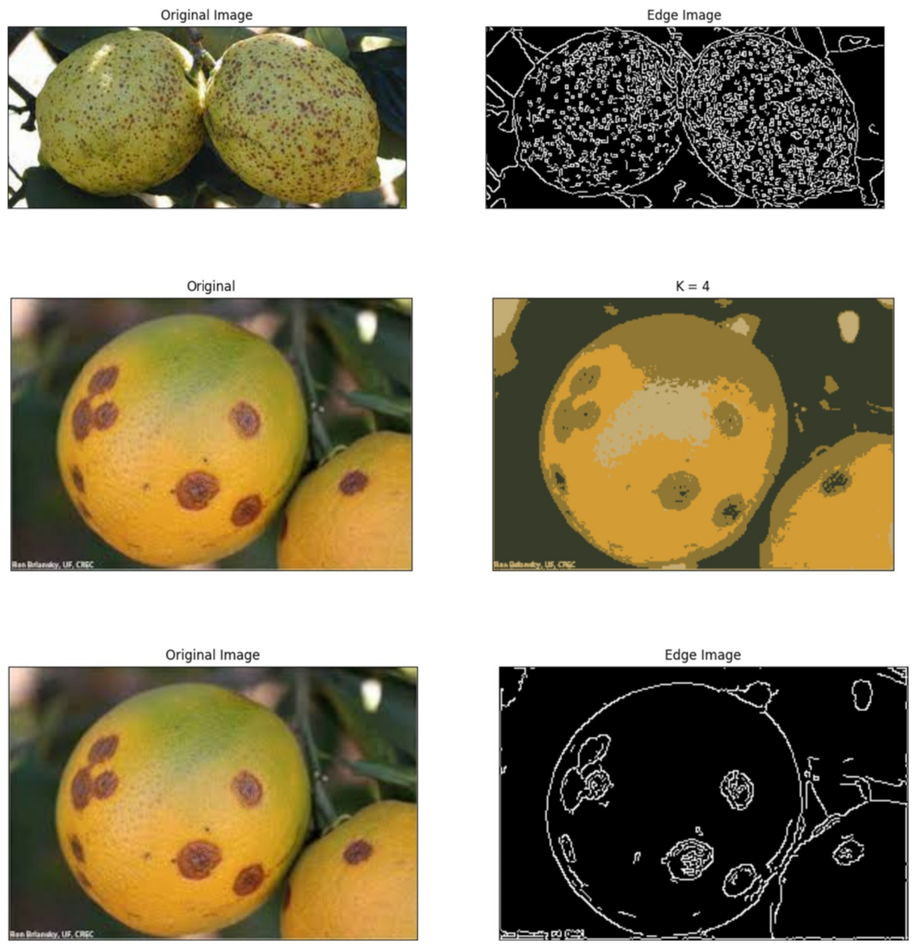 Sustainability 15 04576 g004b