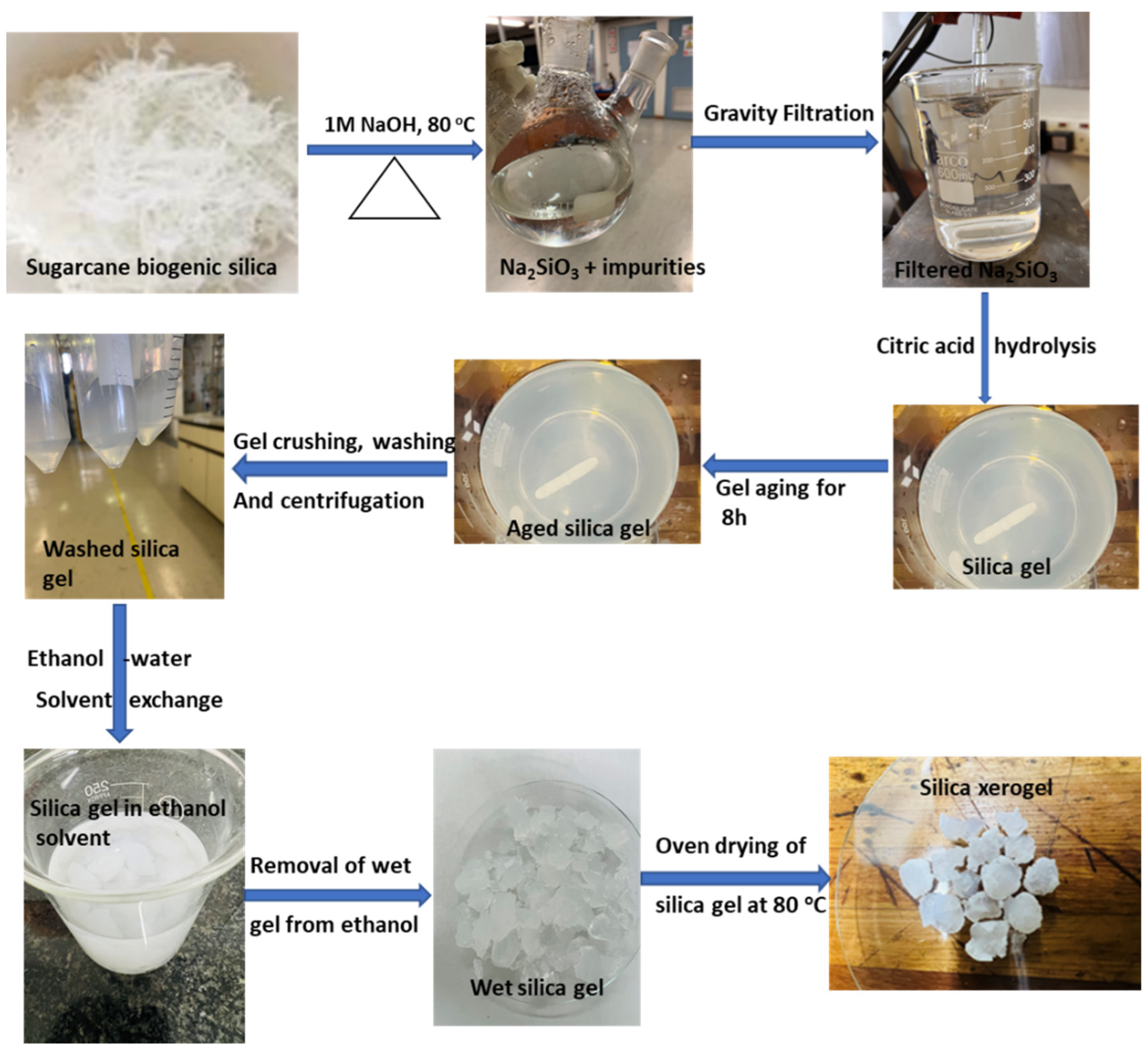 Sustainability 15 04626 g001 Sustainability 15 04626 g001