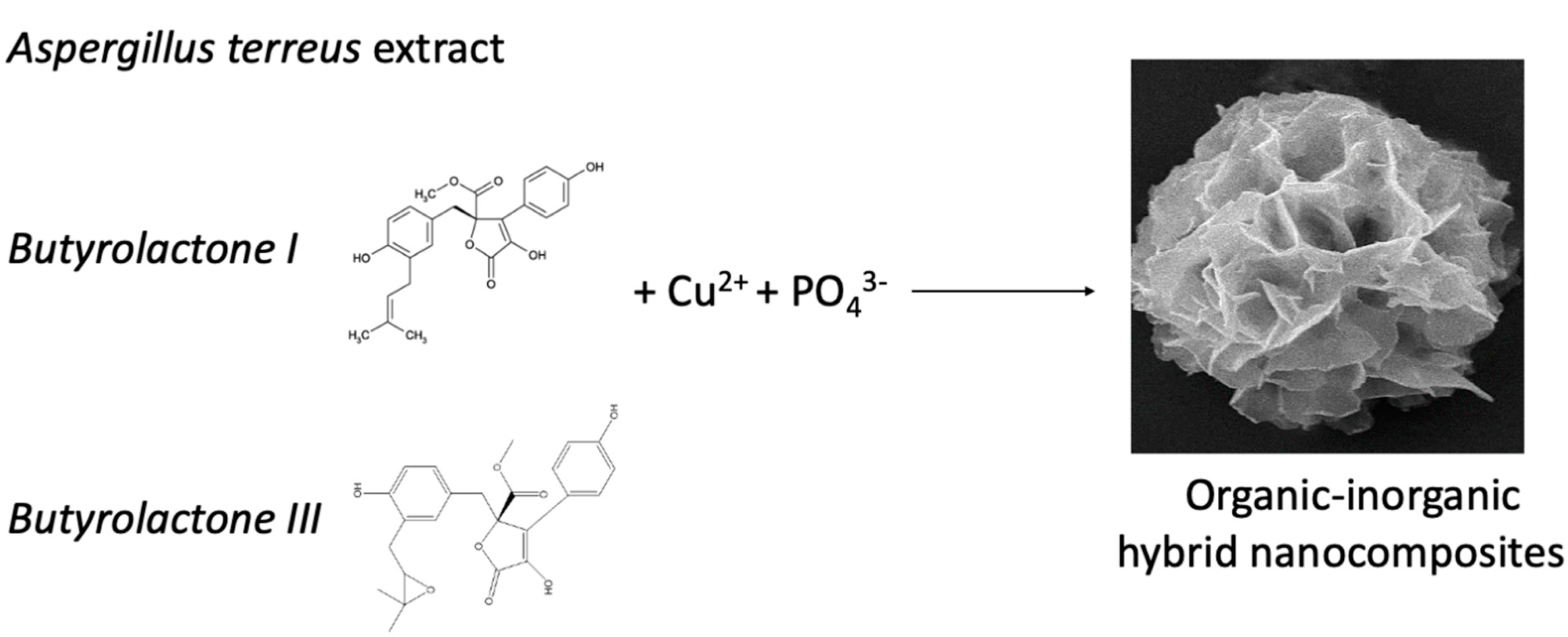 Sustainability 15 04638 g001 Sustainability 15 04638 g001