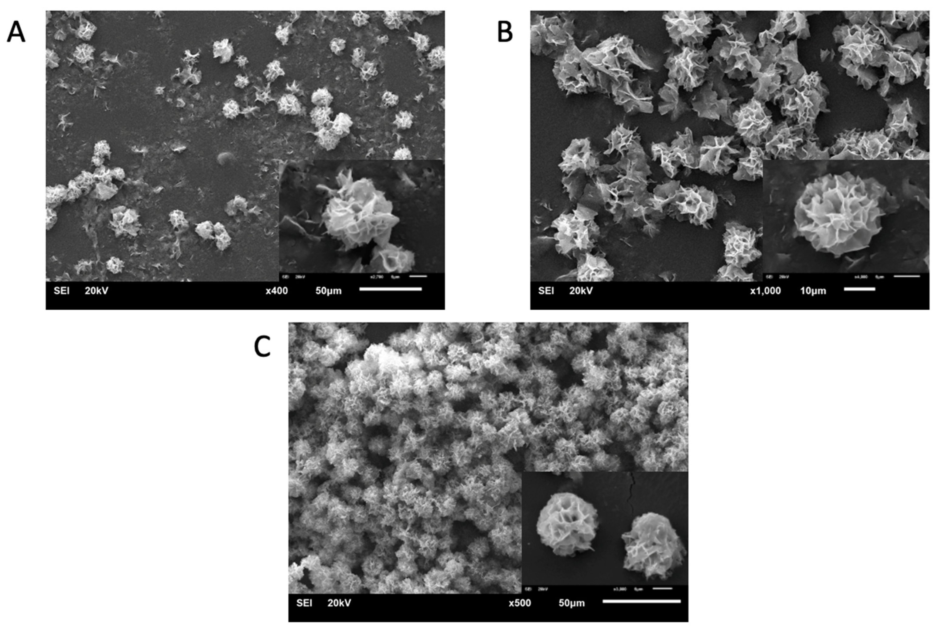 Sustainability 15 04638 g002 Sustainability 15 04638 g002