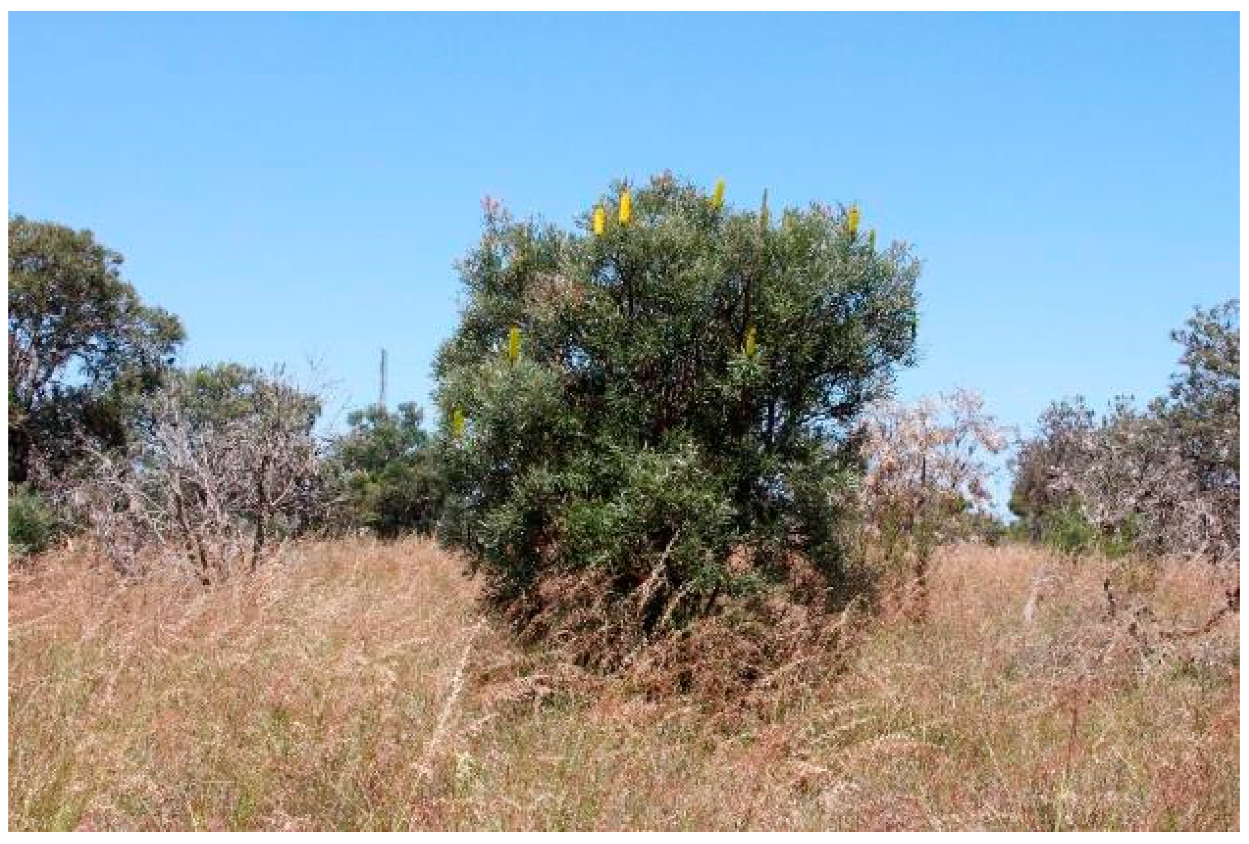 Sustainability 15 04640 g005