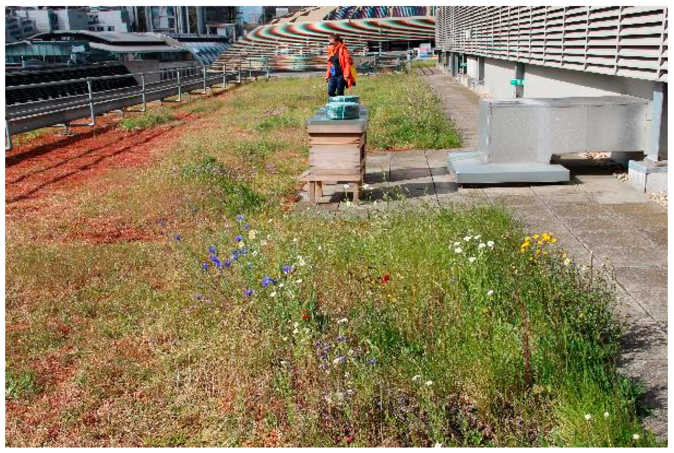 Sustainability 15 04640 g006