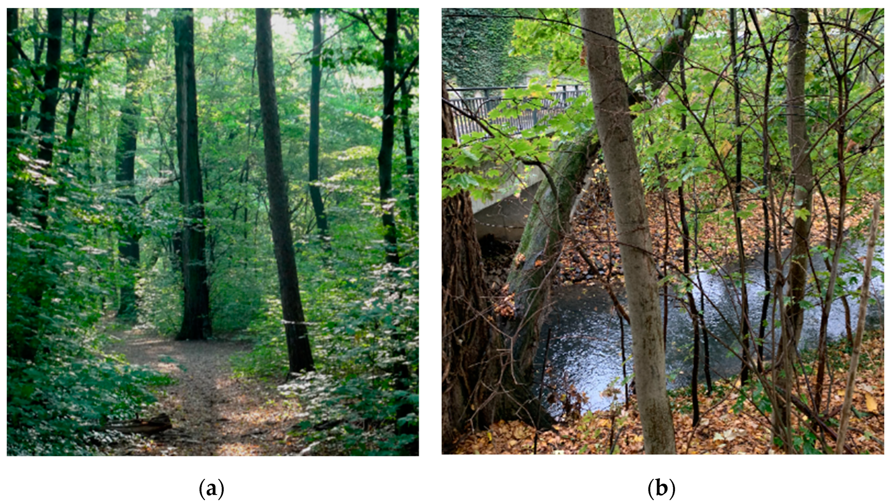 Sustainability 15 04640 g007