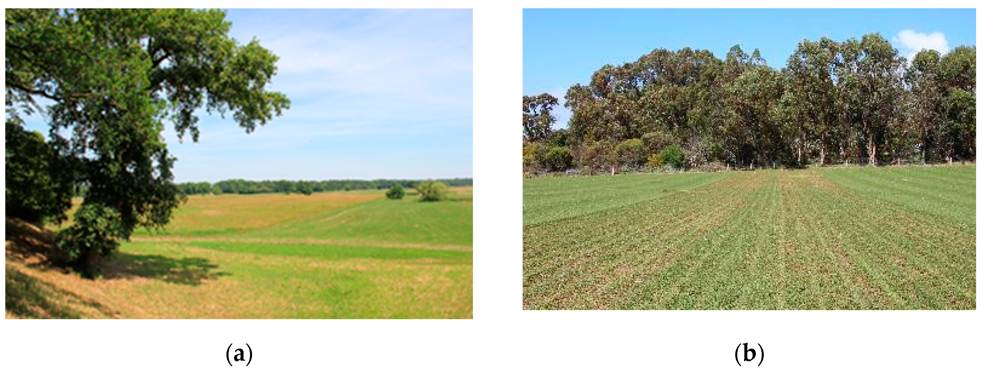 Sustainability 15 04640 g008