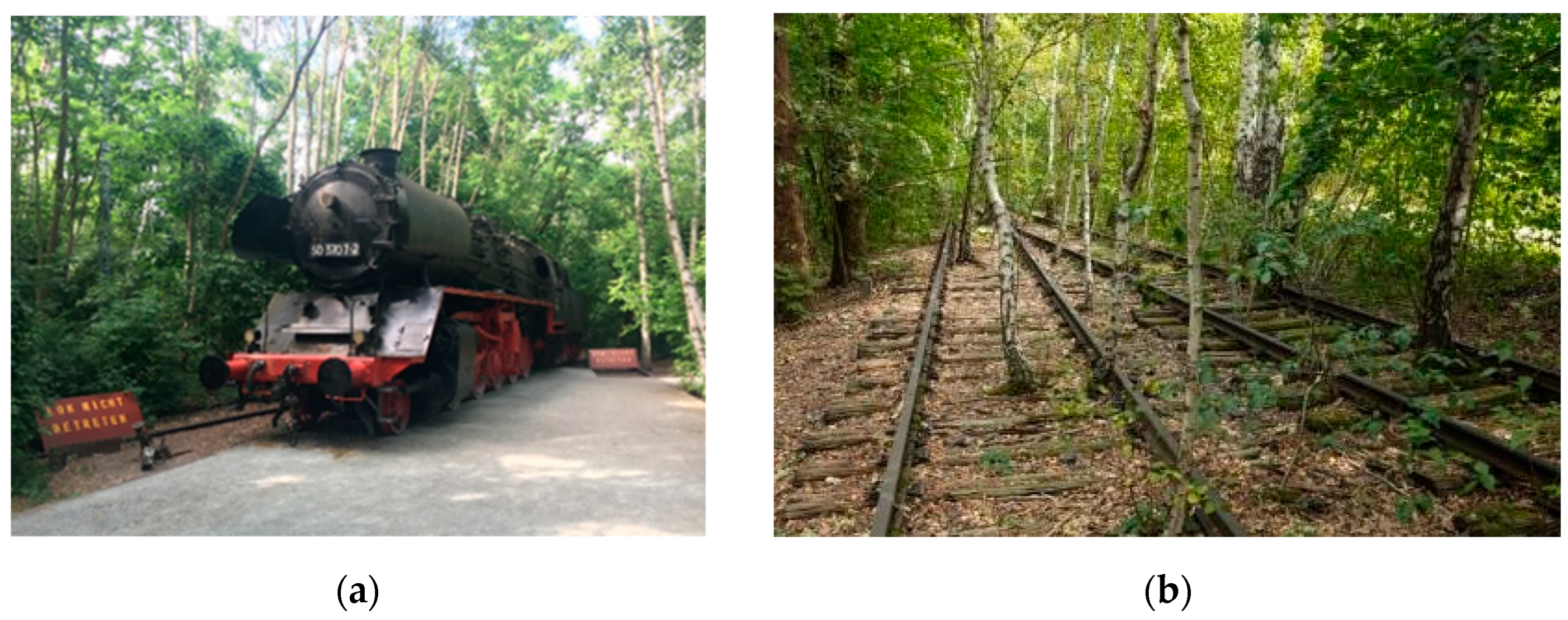 Sustainability 15 04640 g010