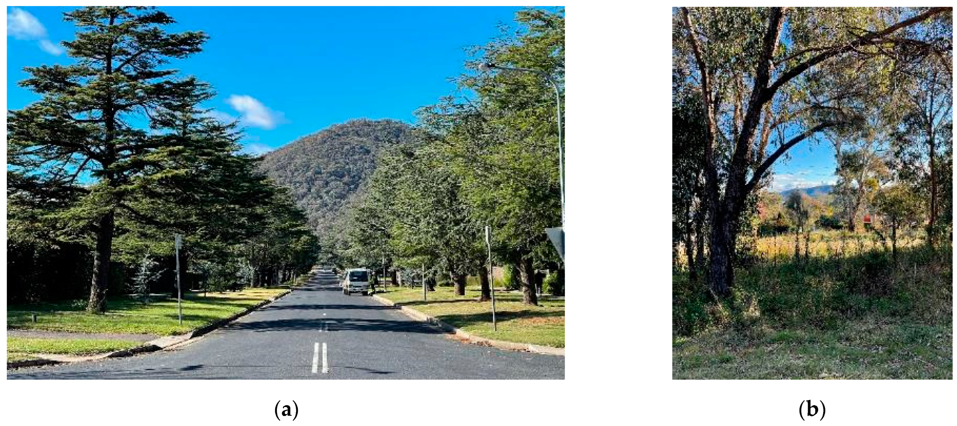 Sustainability 15 04640 g012