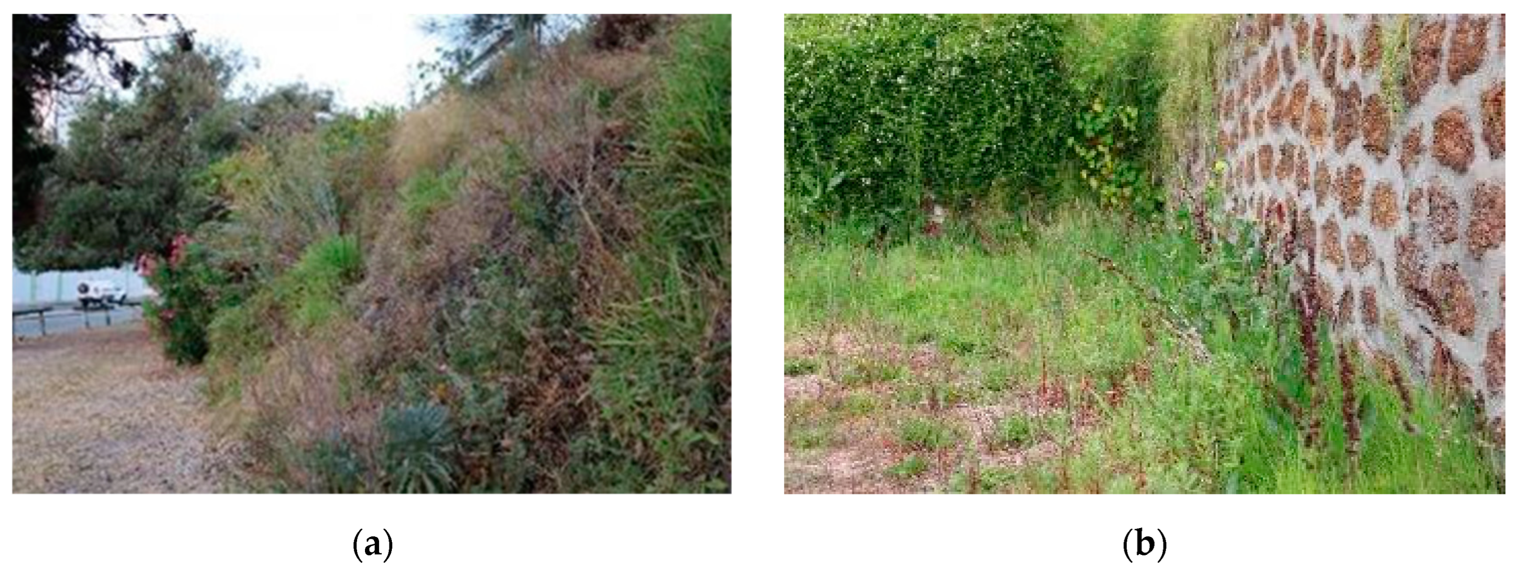 Sustainability 15 04640 g014