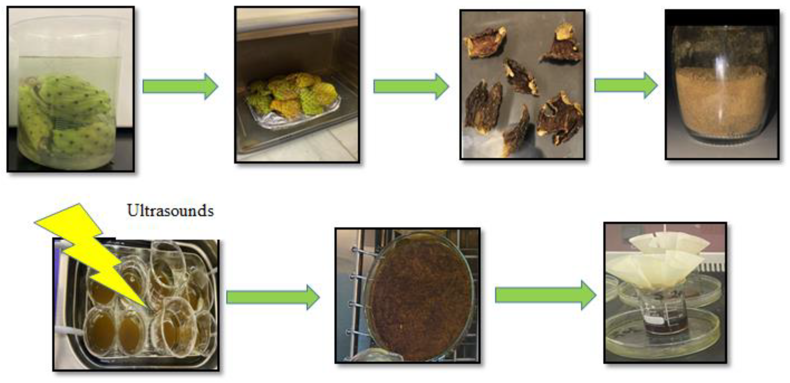 Sustainability 15 04700 g001