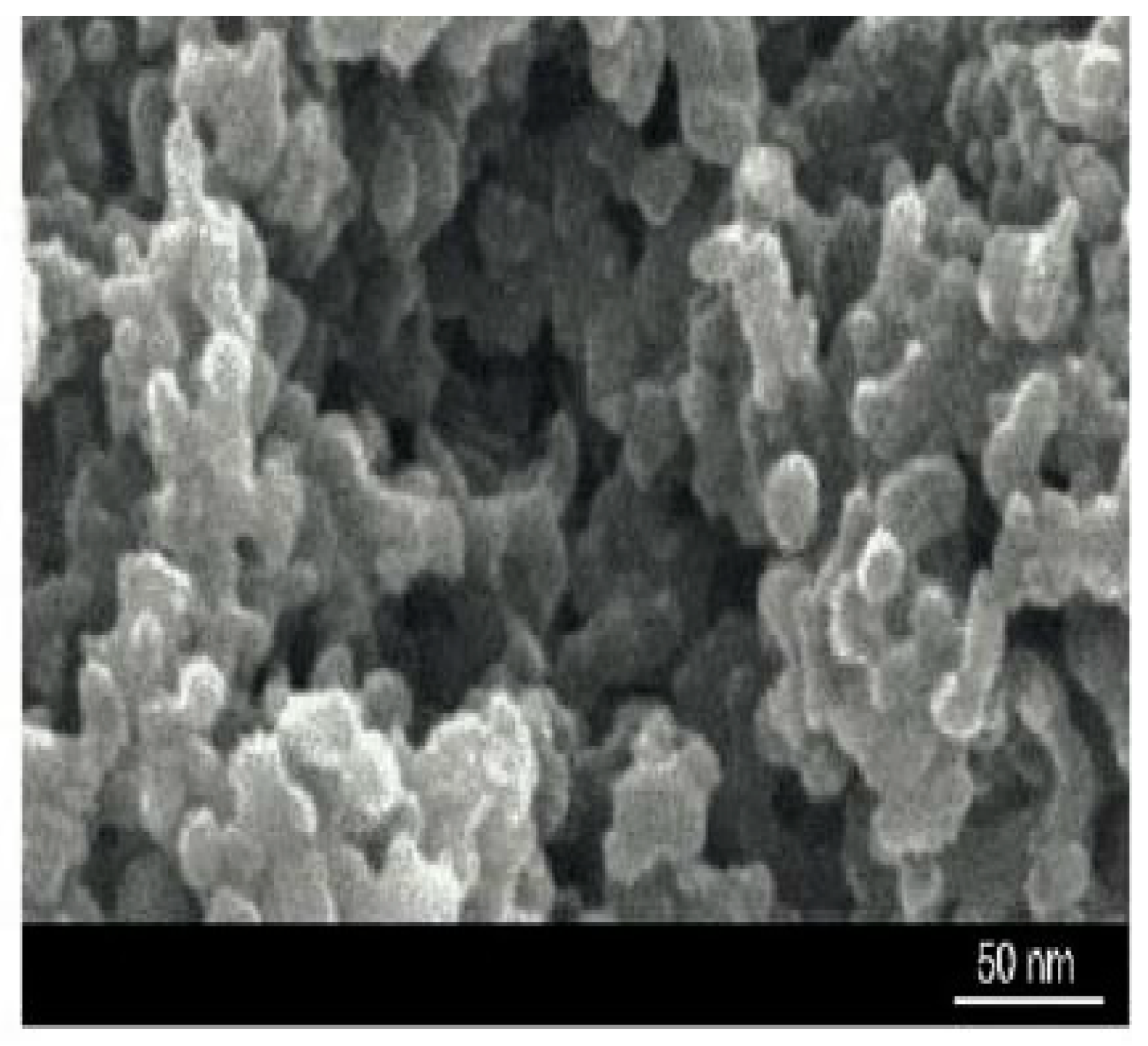 Sustainability 15 04716 g004