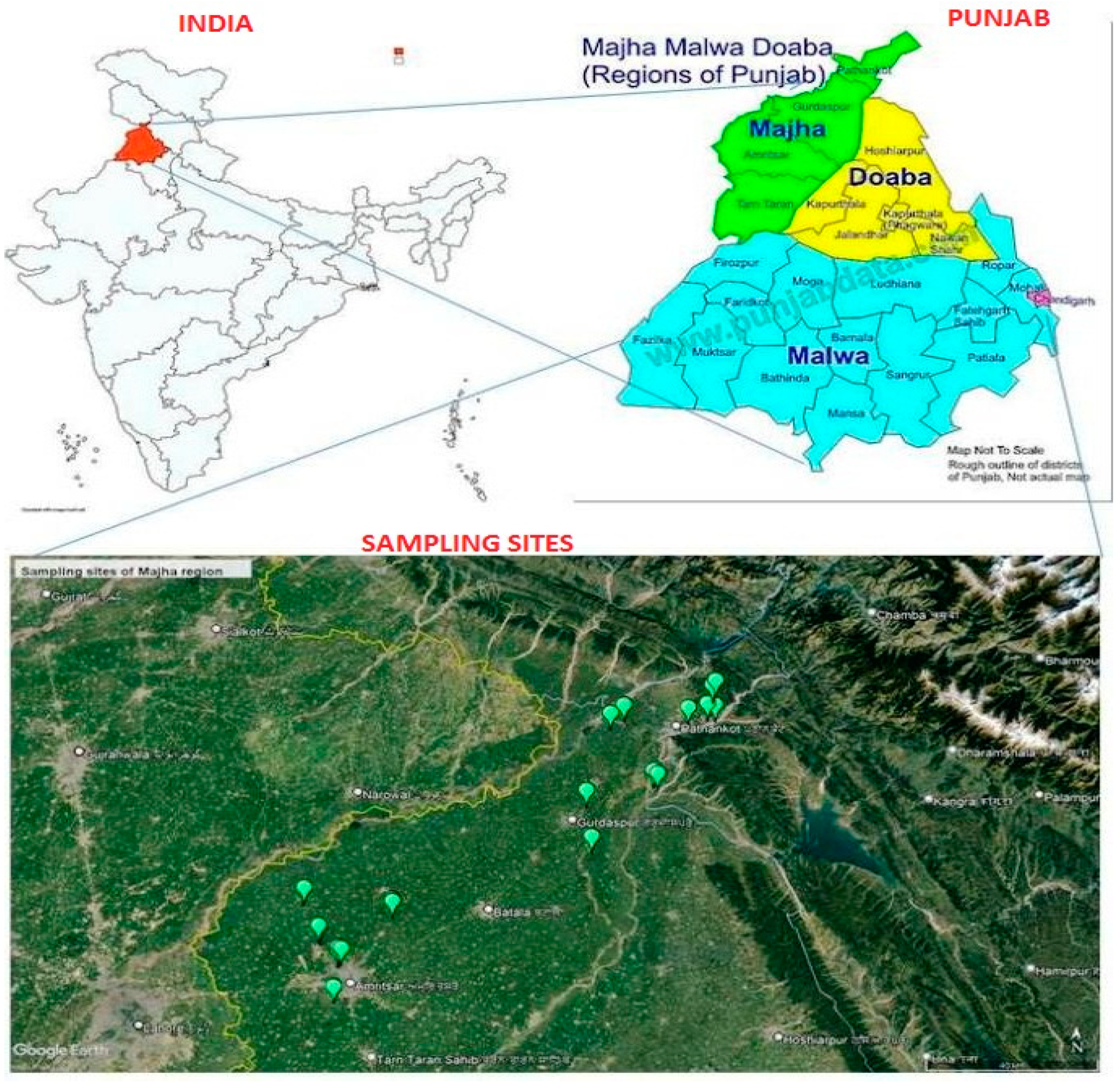 Sustainability 15 04779 g001 Sustainability 15 04779 g001