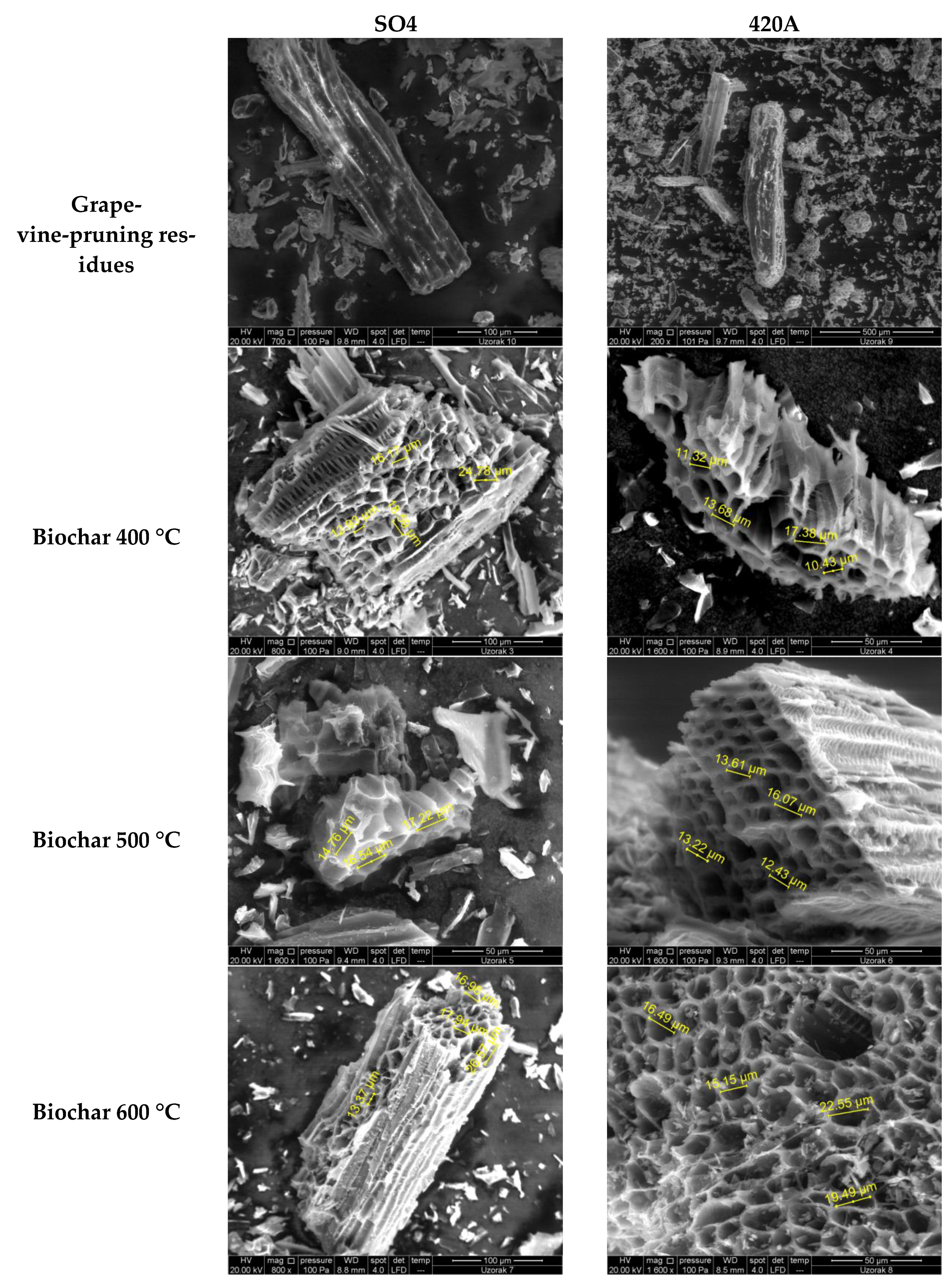 Sustainability 15 04851 g001 Sustainability 15 04851 g001