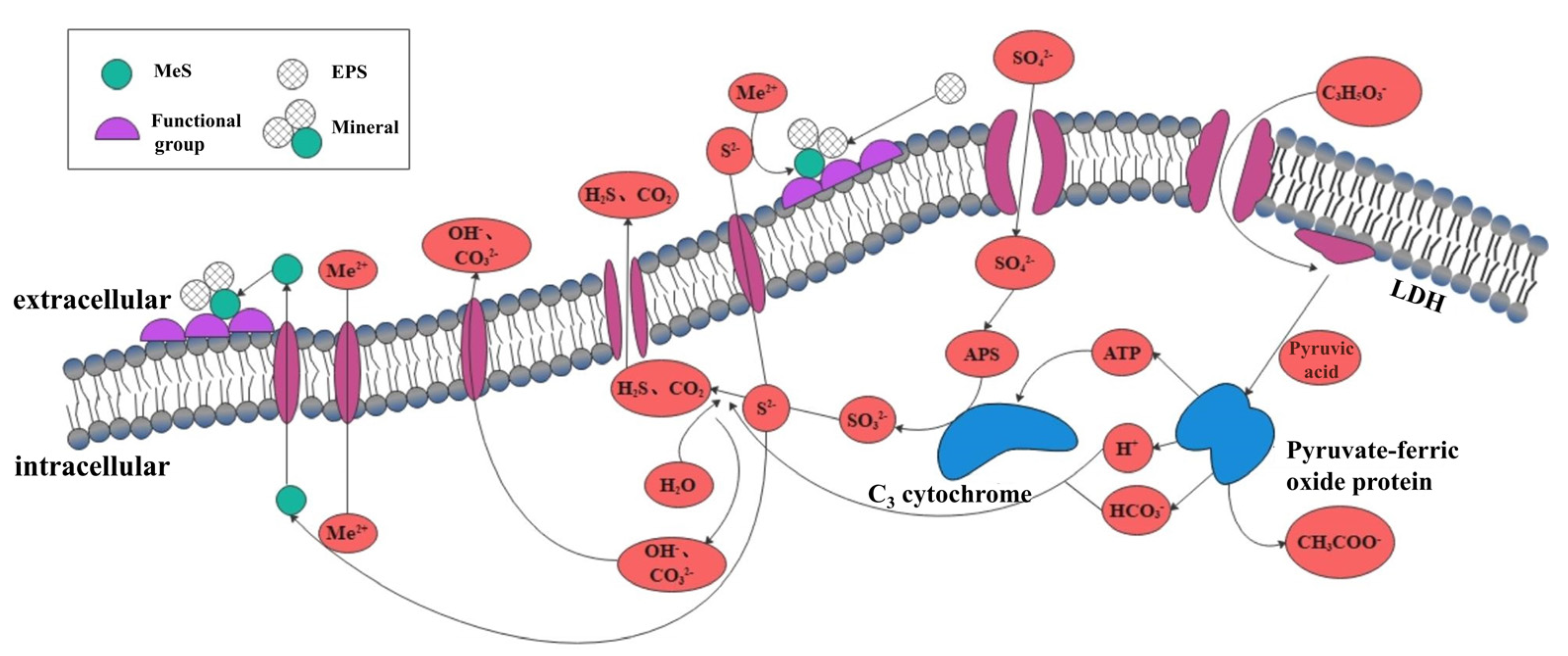 Sustainability 15 04858 g002 Sustainability 15 04858 g002