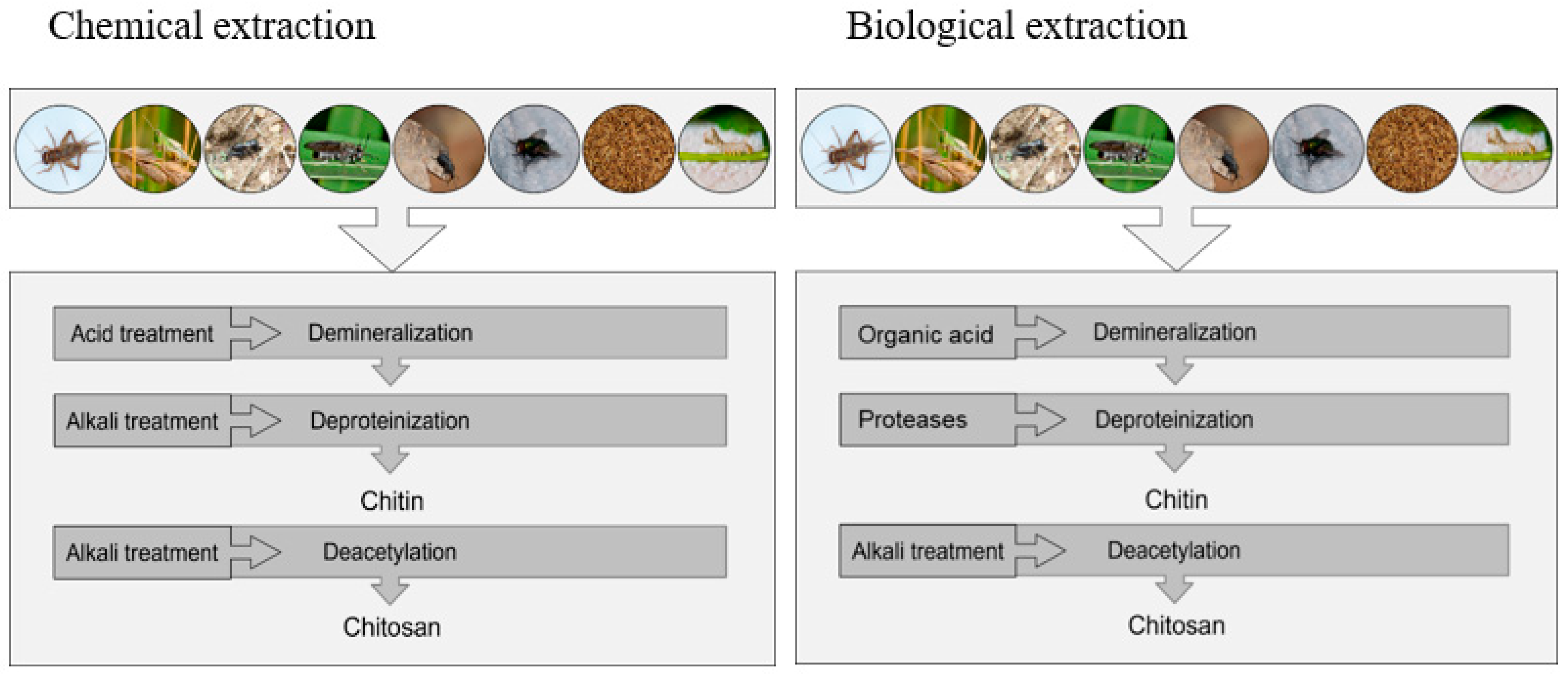 Sustainability 15 04864 g002 Sustainability 15 04864 g002