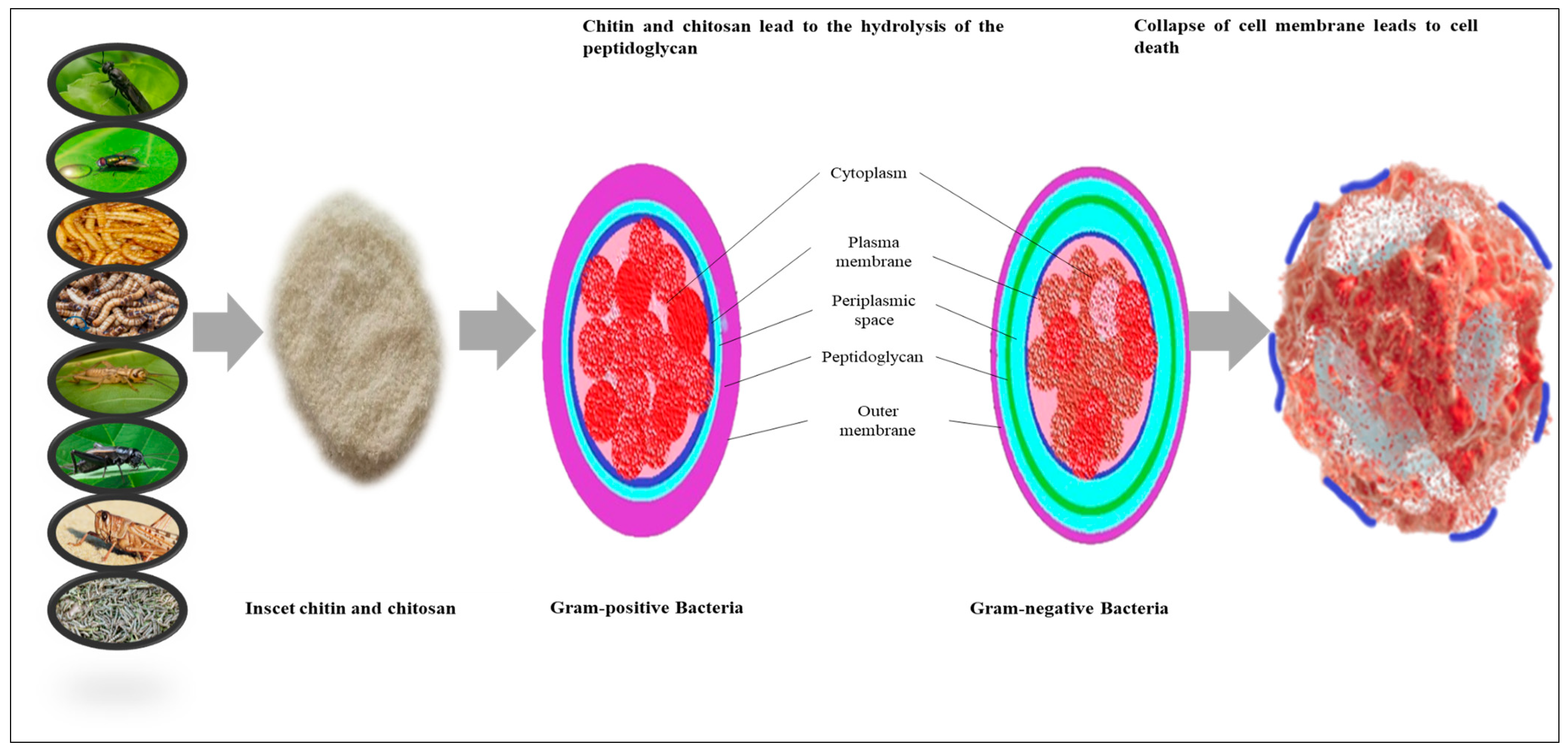 Sustainability 15 04864 g005 Sustainability 15 04864 g005