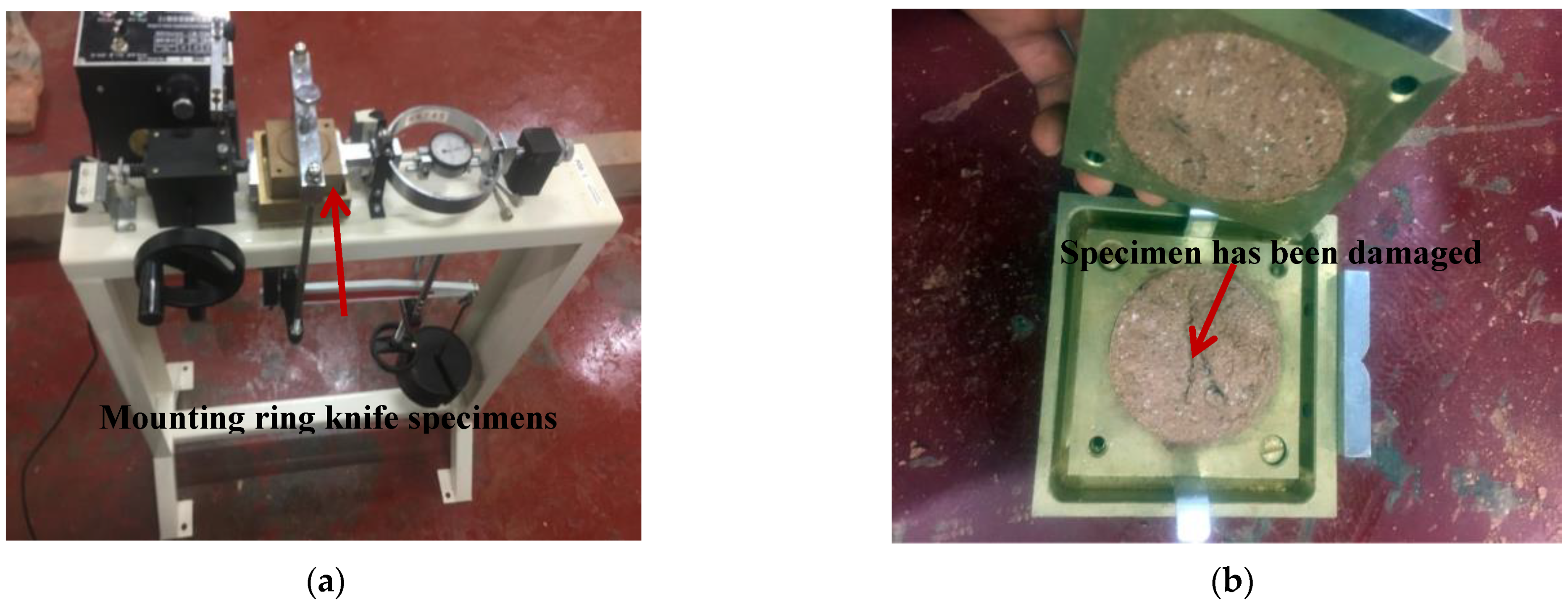 Sustainability 15 04900 g004 550