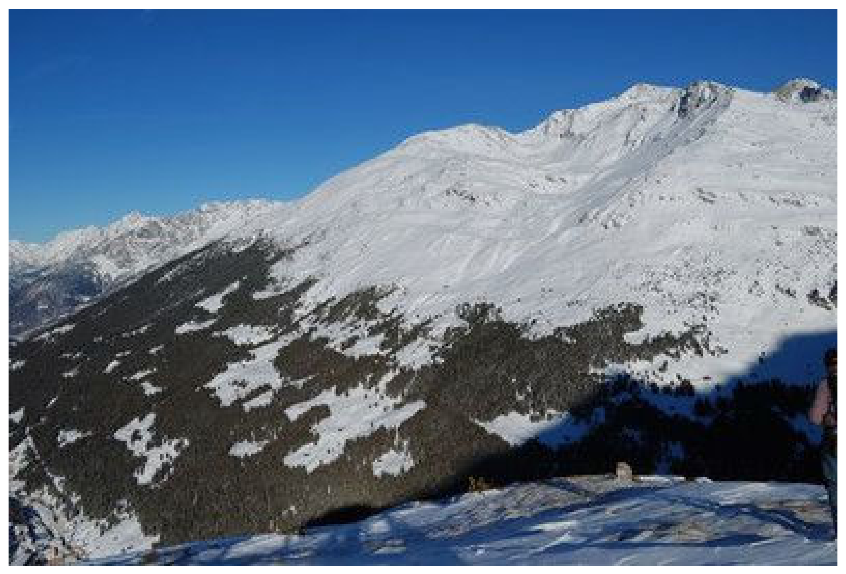 Sustainability 15 04979 g005