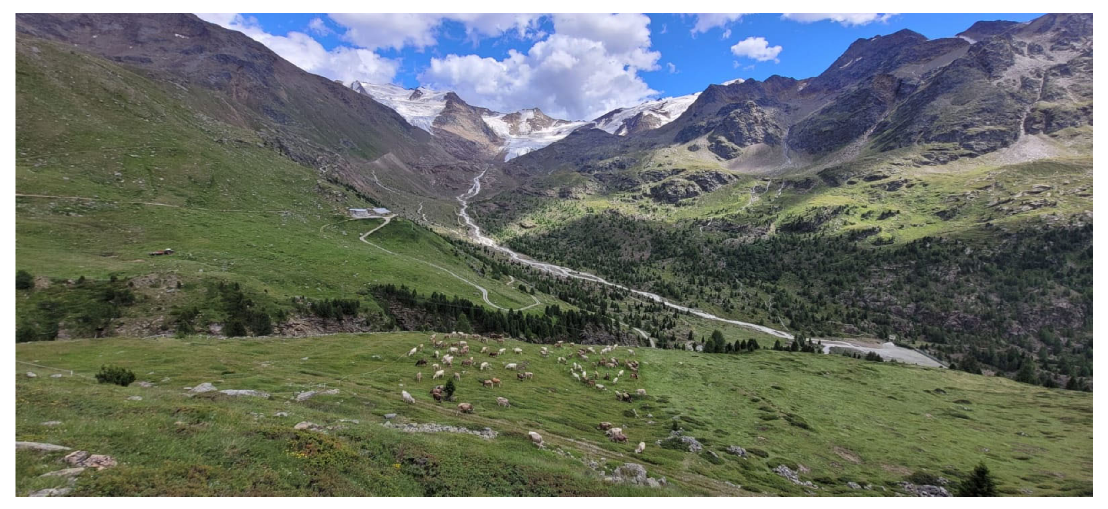 Sustainability 15 04979 g006